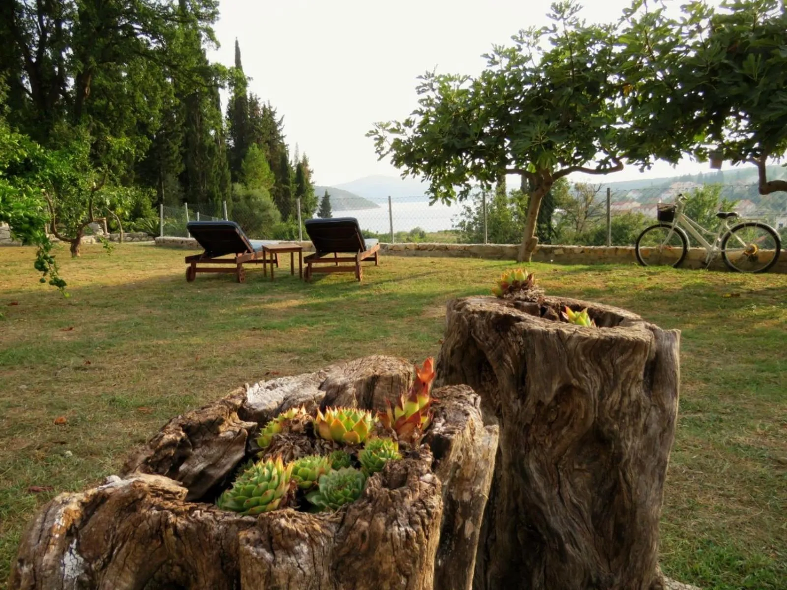 Vila Mozara