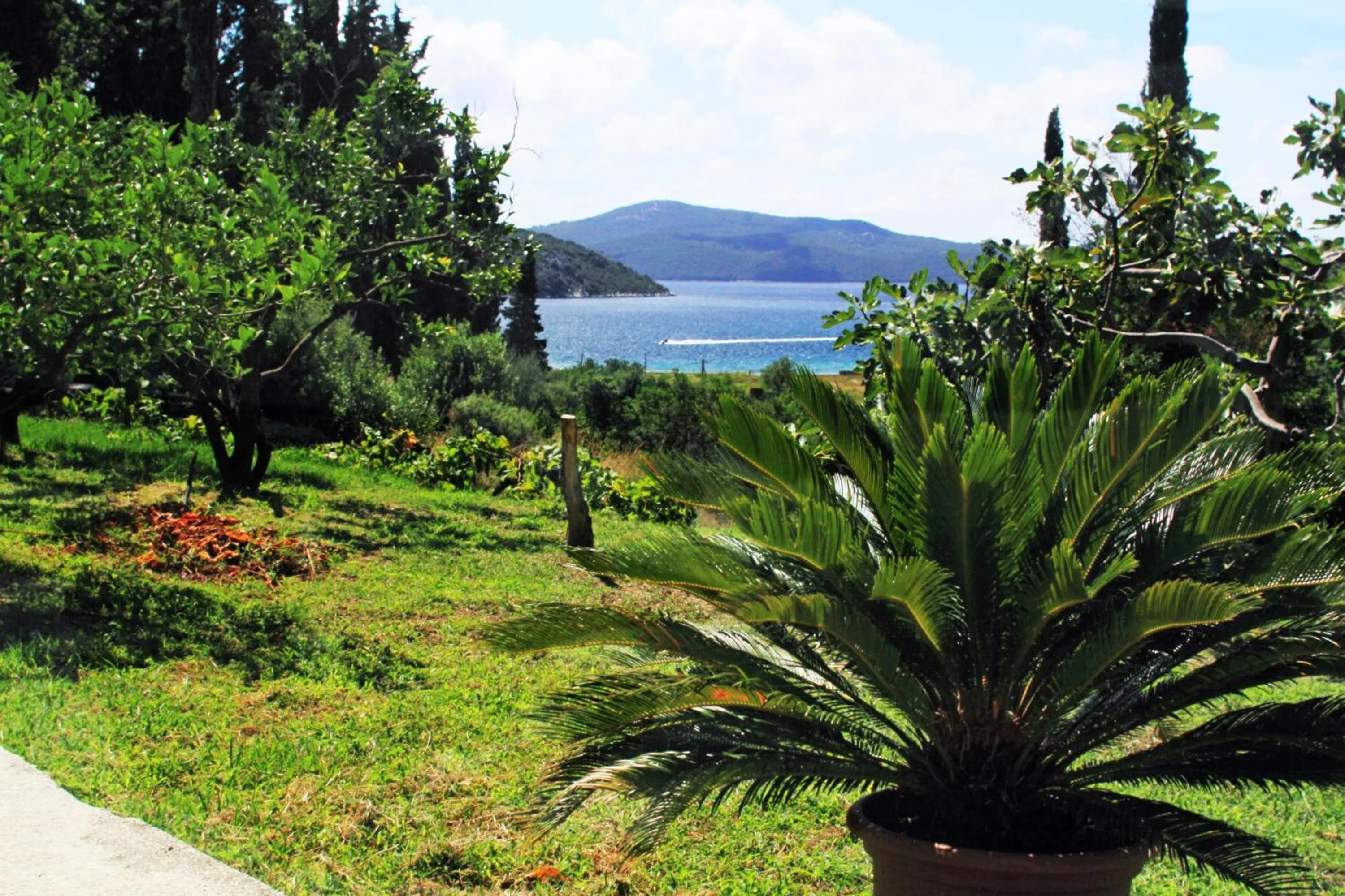 Garden in Vila Mozara