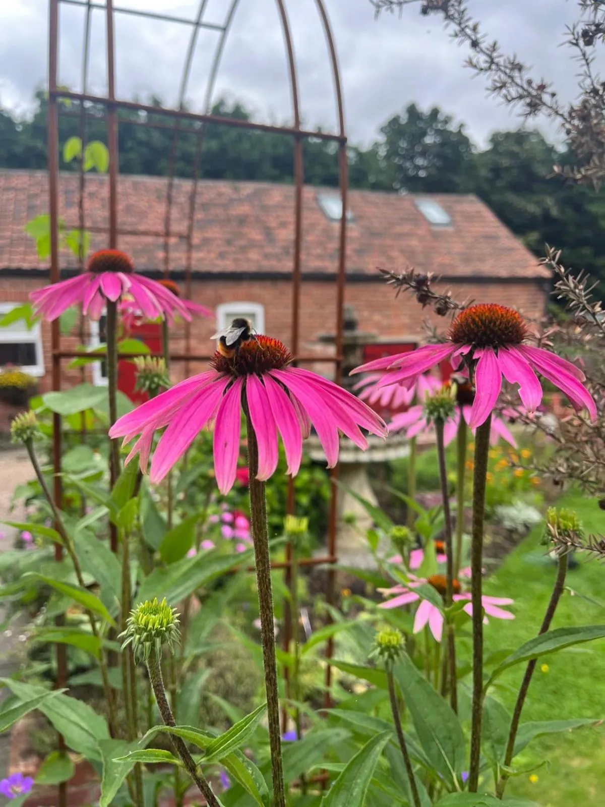 Garden in Home Farm & Lodge