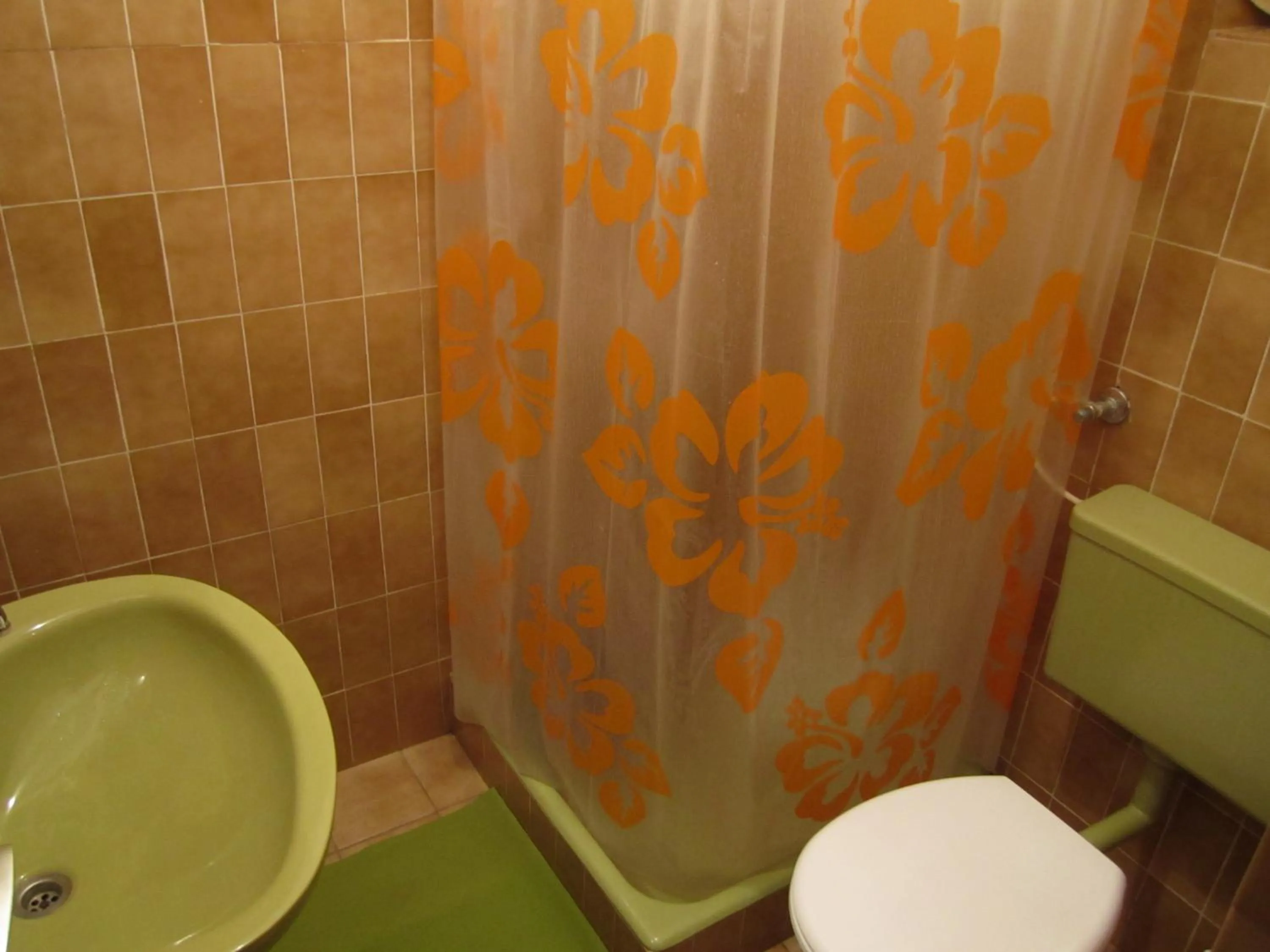 Shower in Apartments Biočić