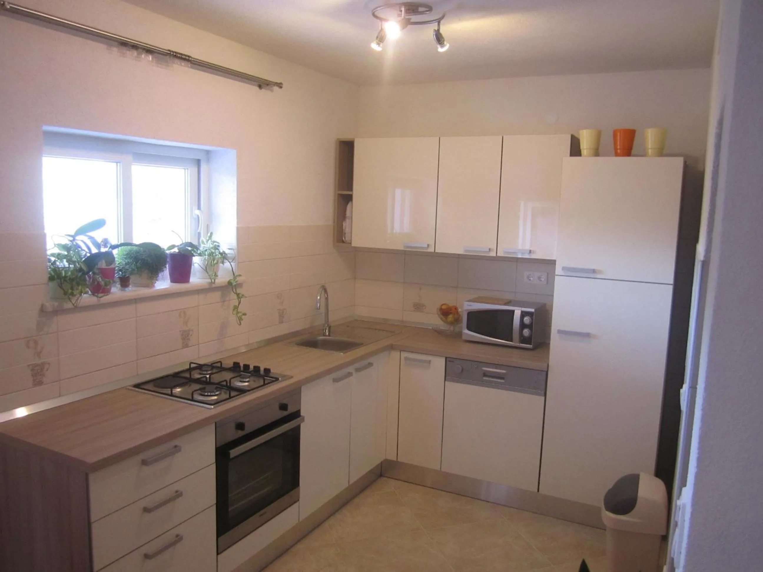 Kitchen or kitchenette in Apartments Biočić