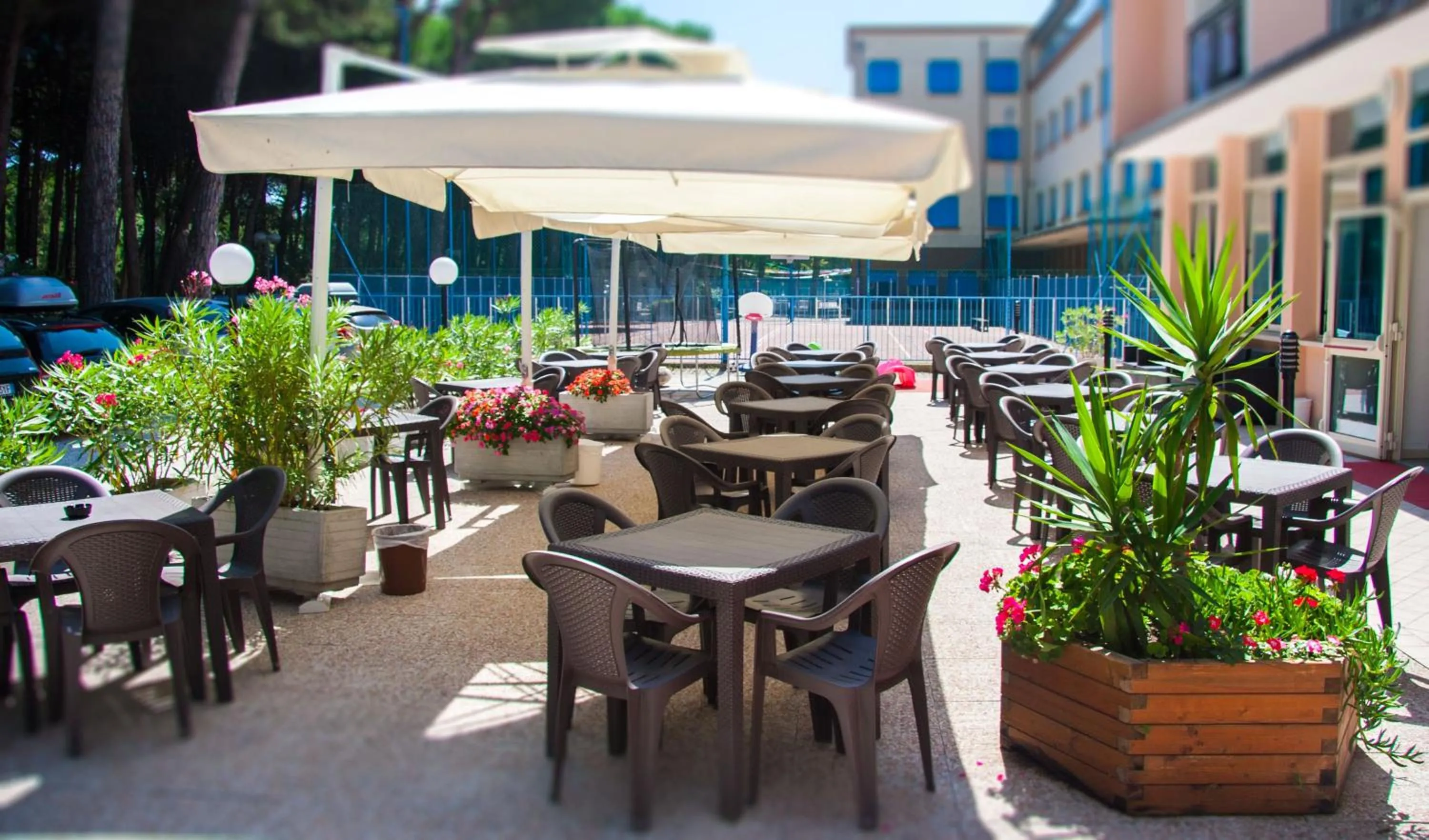 Restaurant/places to eat in Club Vacanze In