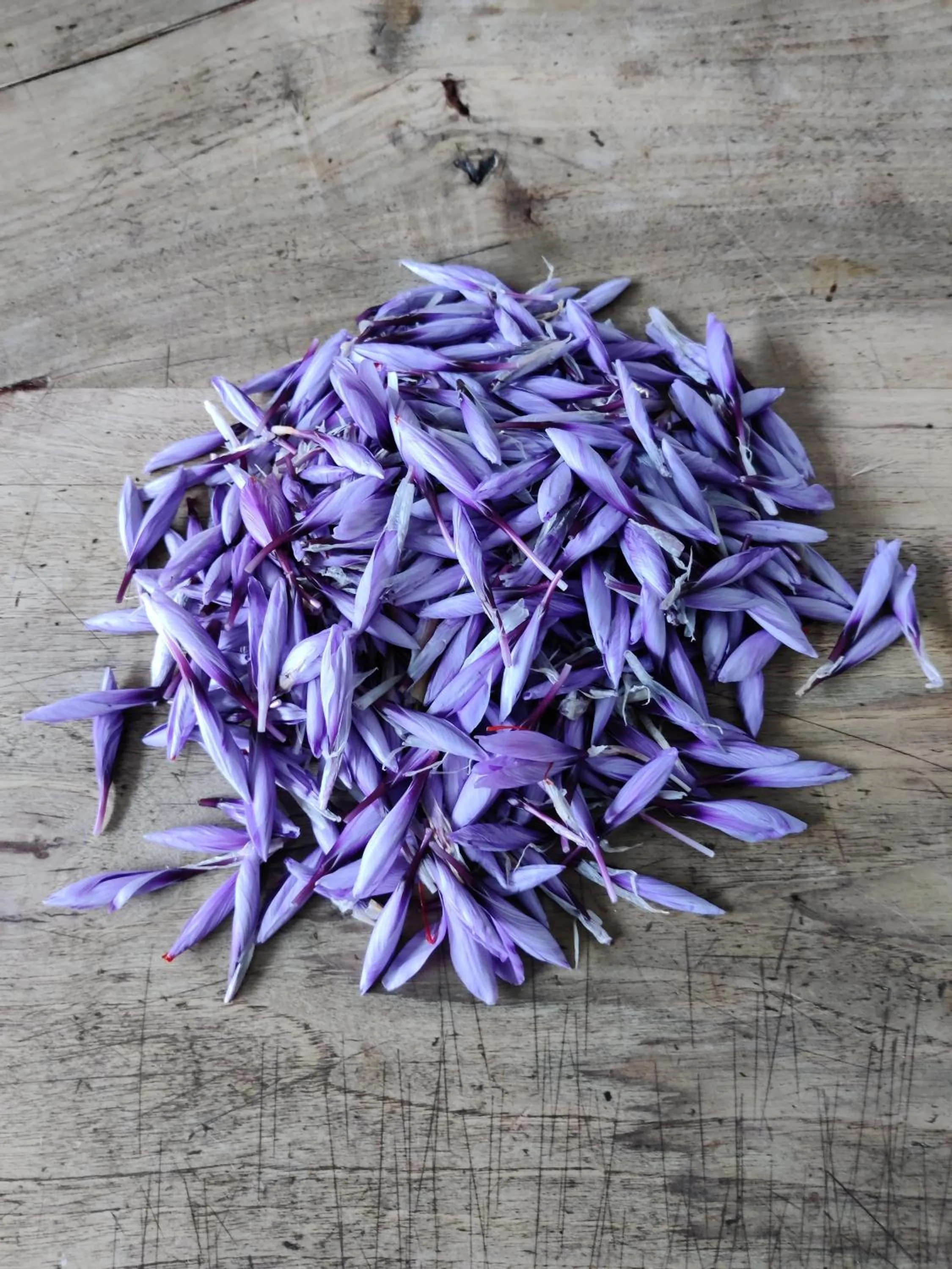 Decorative detail in Relais del Brigante