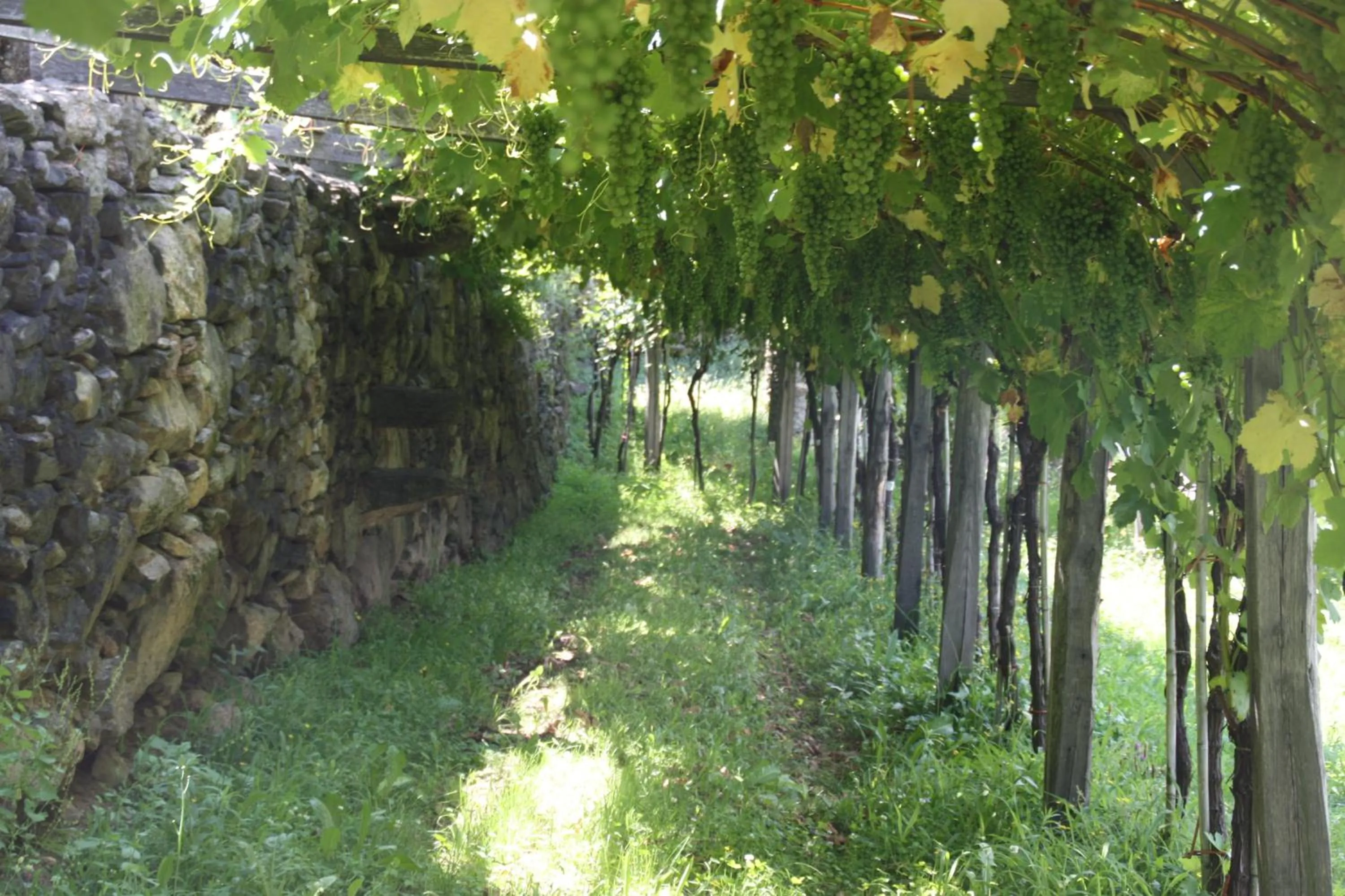Garden in Relais del Brigante