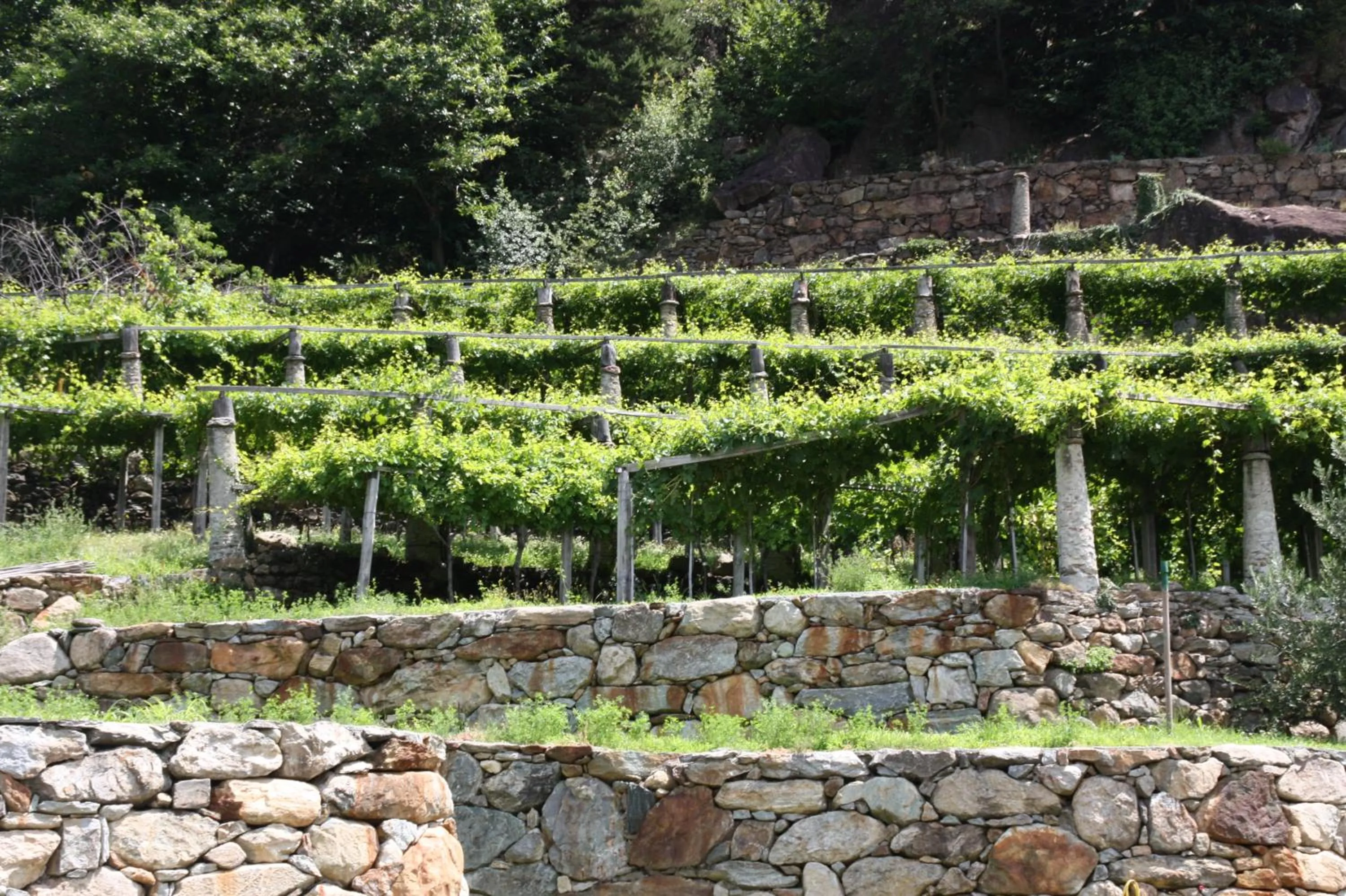 Natural landscape in Relais del Brigante
