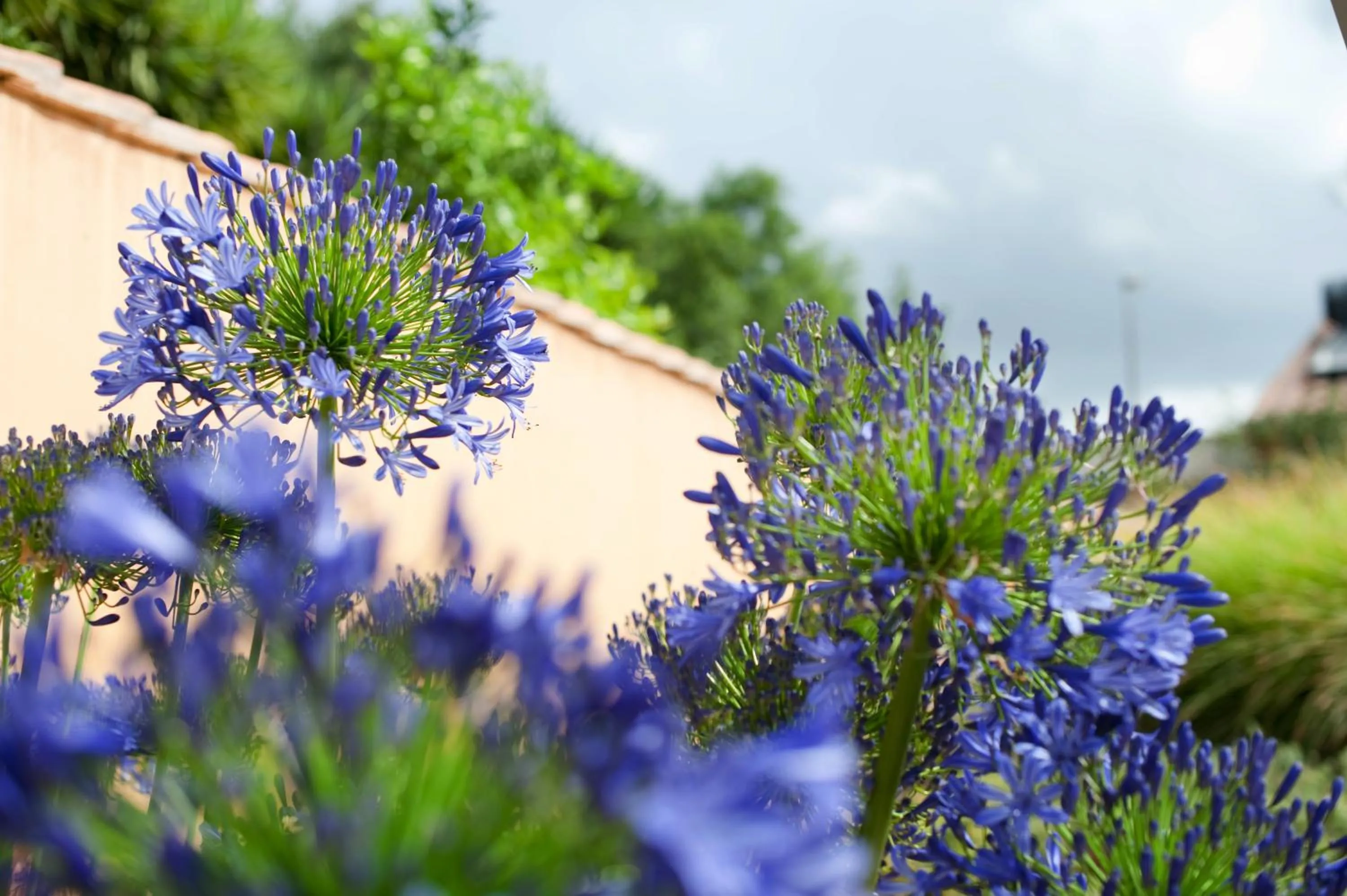 Garden view in Aquae Sinis Albergo Diffuso
