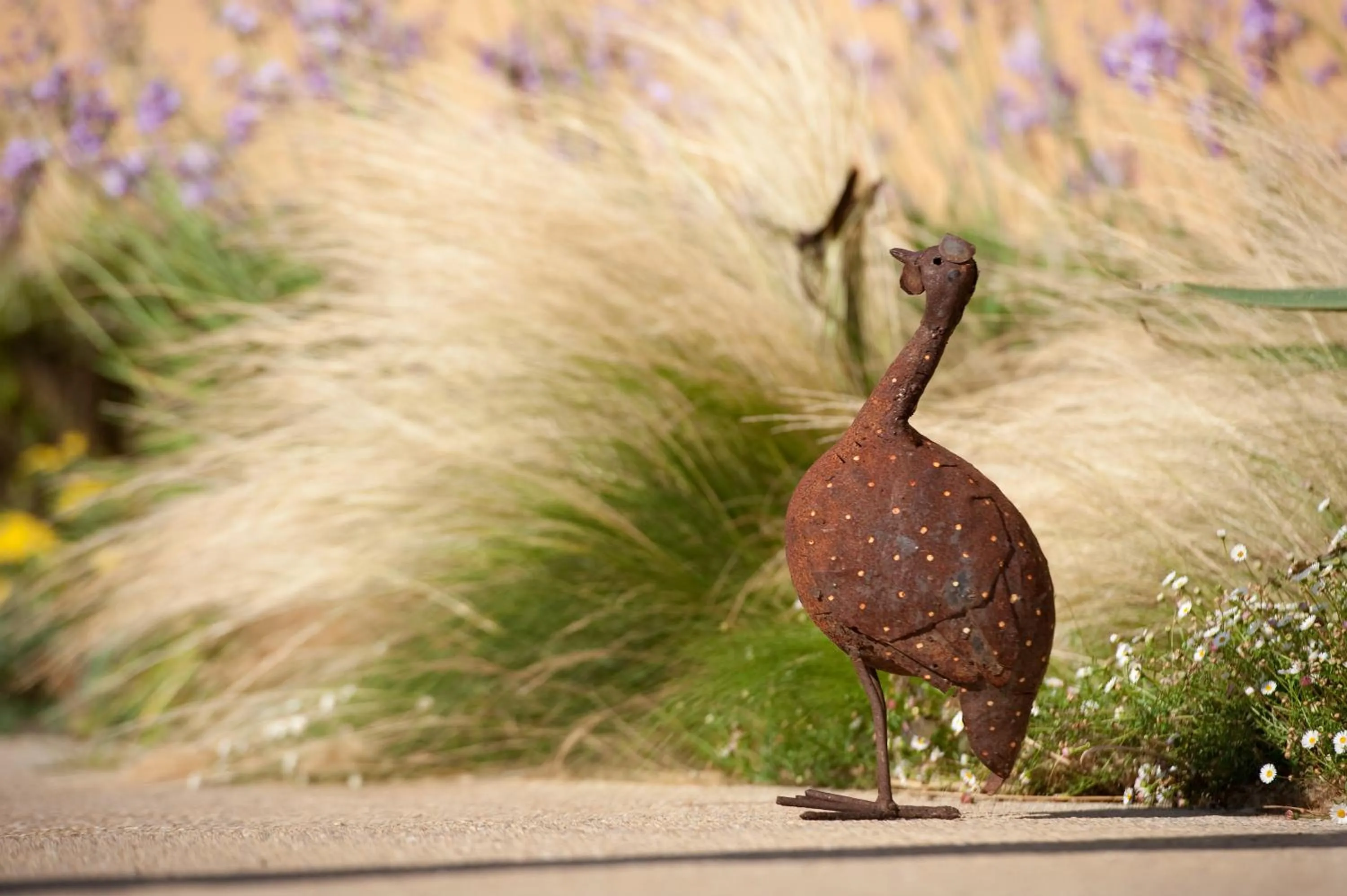 Day in Aquae Sinis Albergo Diffuso