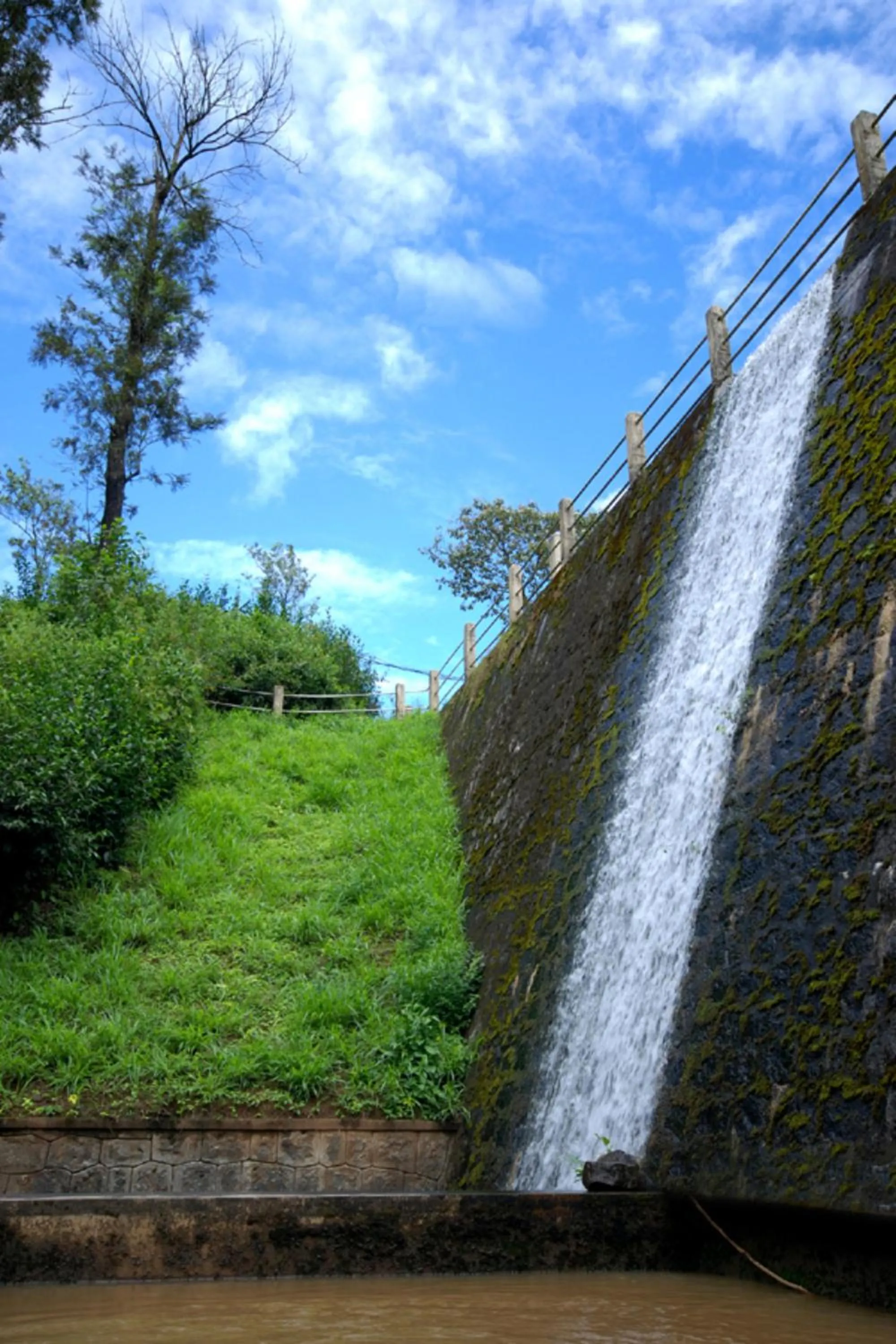 Area and facilities in Carmelia Haven Resort Thekkady