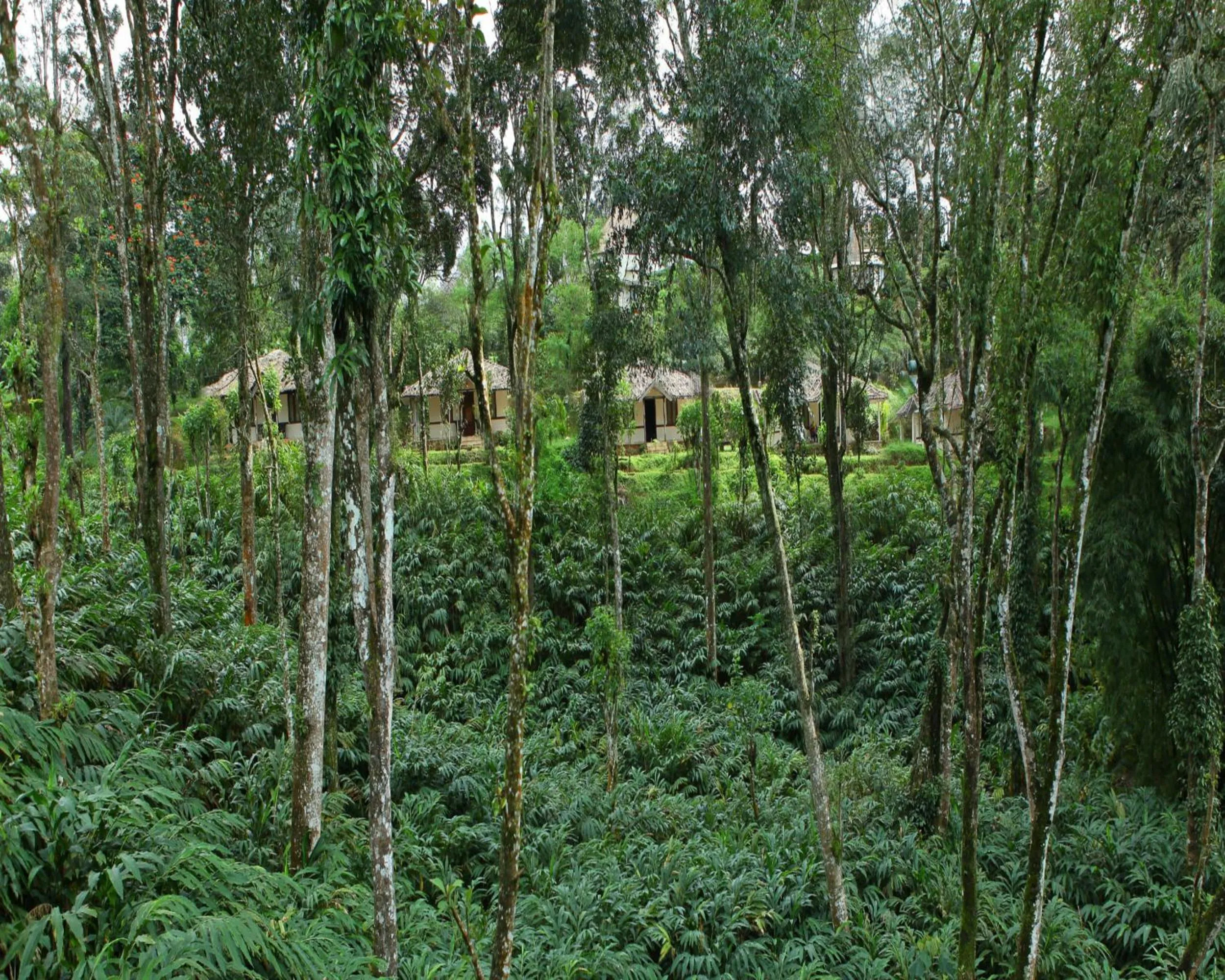 Other in Carmelia Haven Resort Thekkady