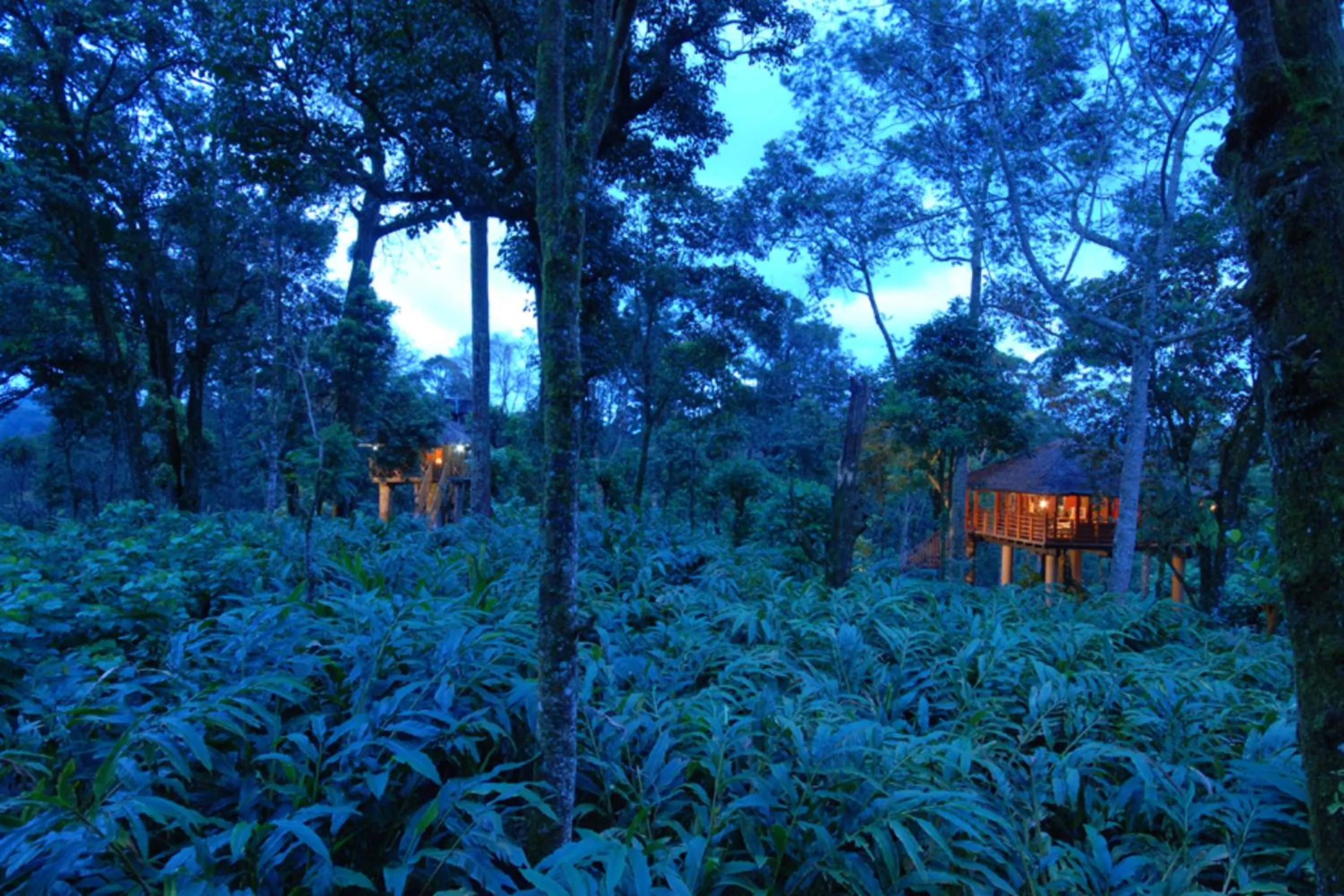 View (from property/room) in Carmelia Haven Resort Thekkady