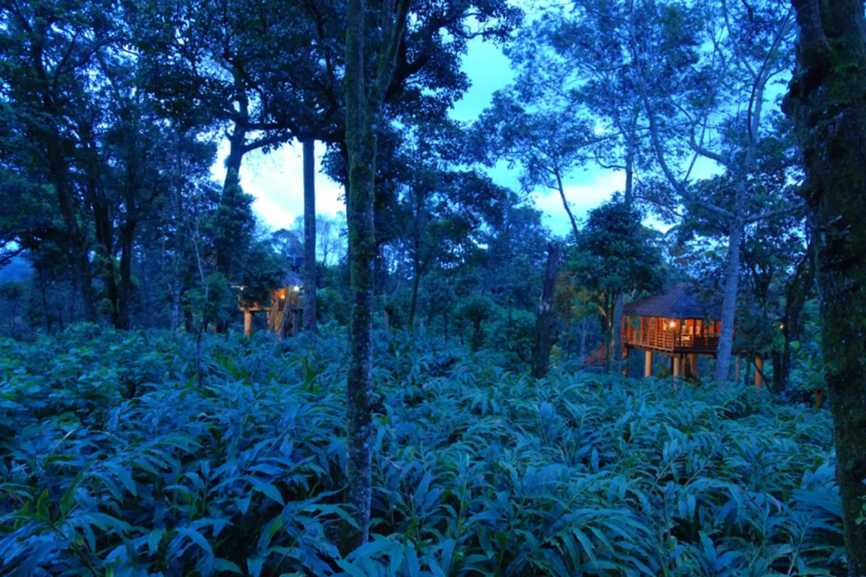 View (from property/room) in Carmelia Haven Resort Thekkady View (from property/room) in Carmelia Haven Resort Thekkady