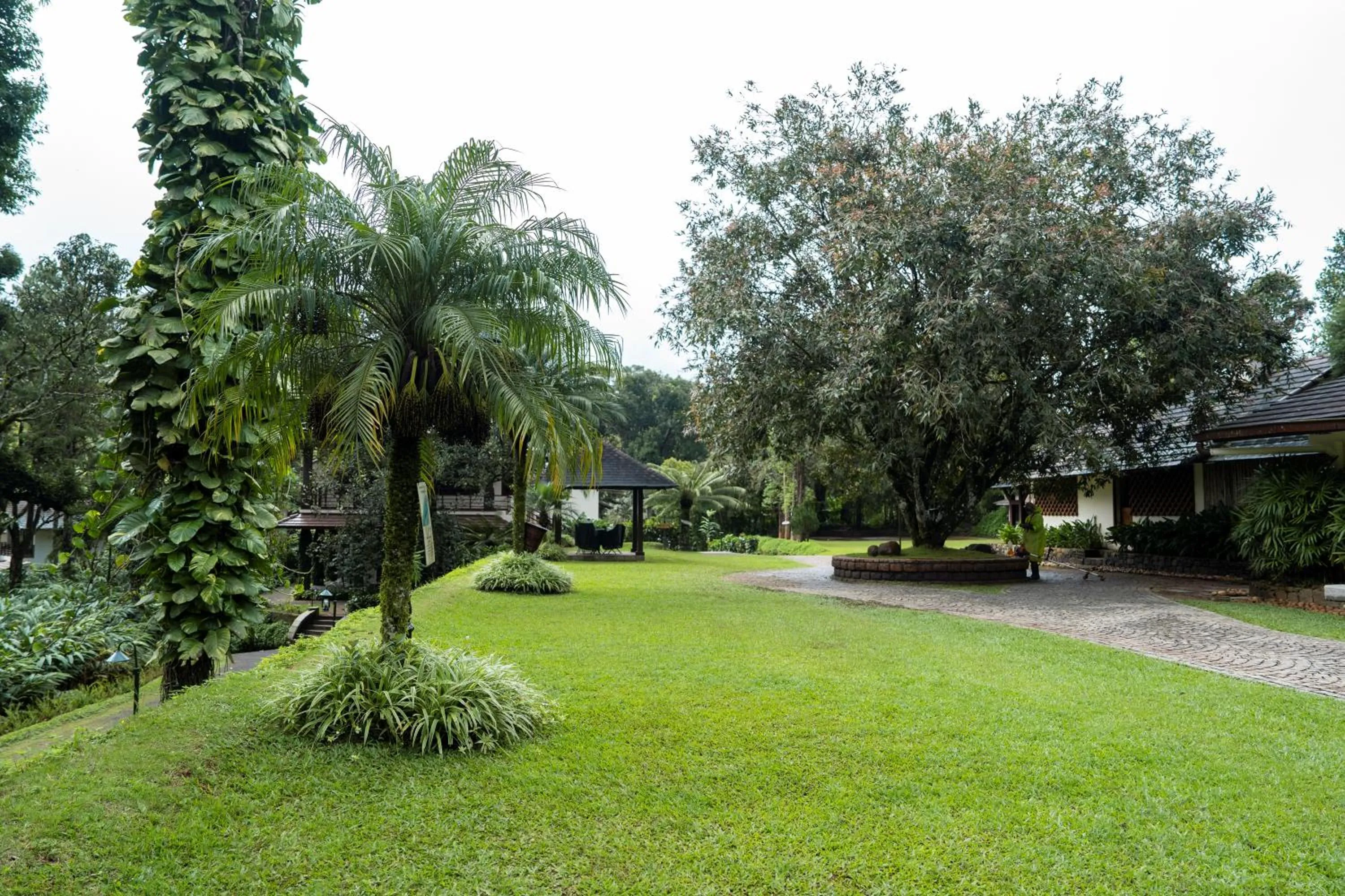 Natural landscape in Carmelia Haven Resort Thekkady
