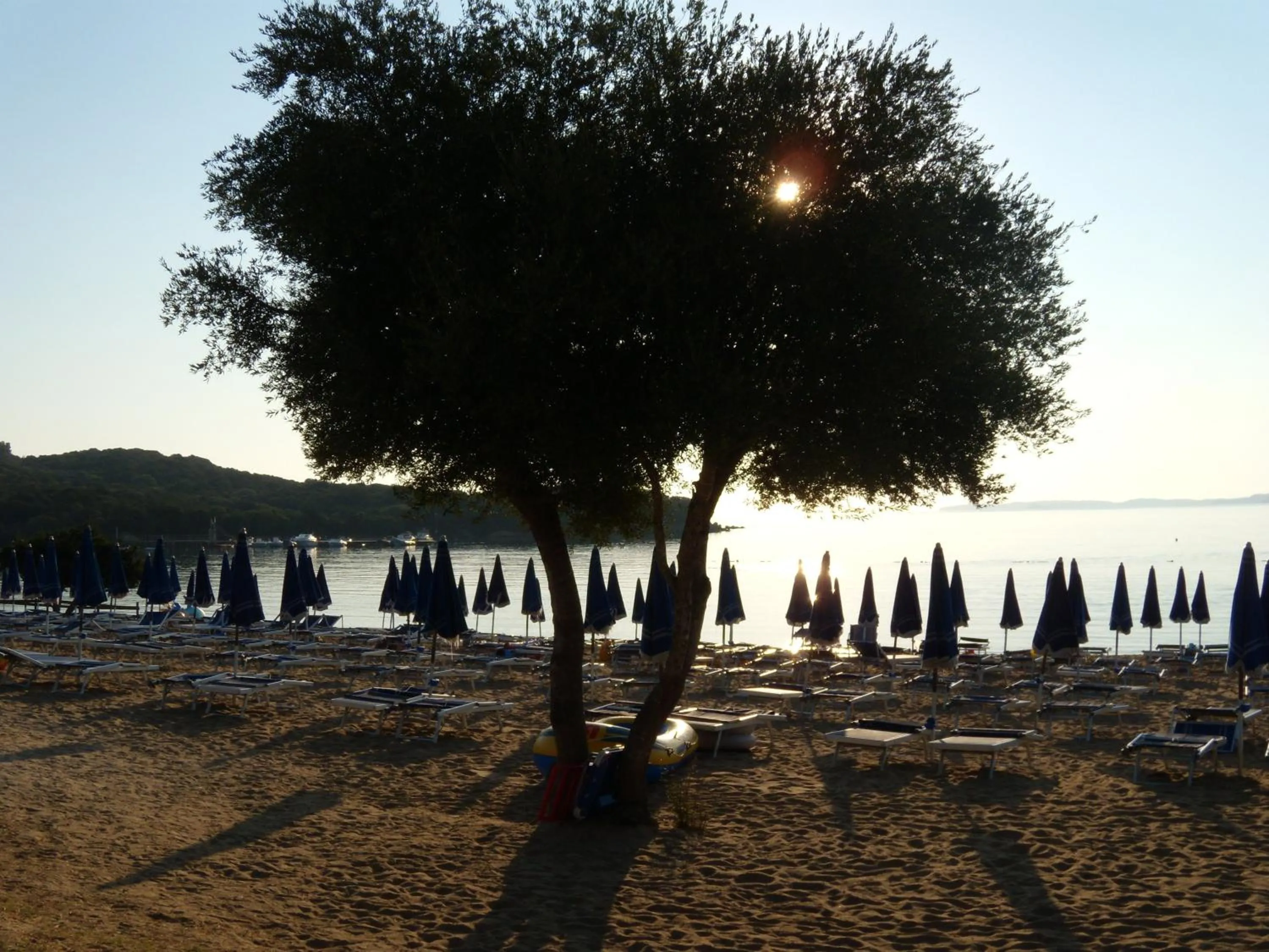 Area and facilities in Residence Porto Mannu
