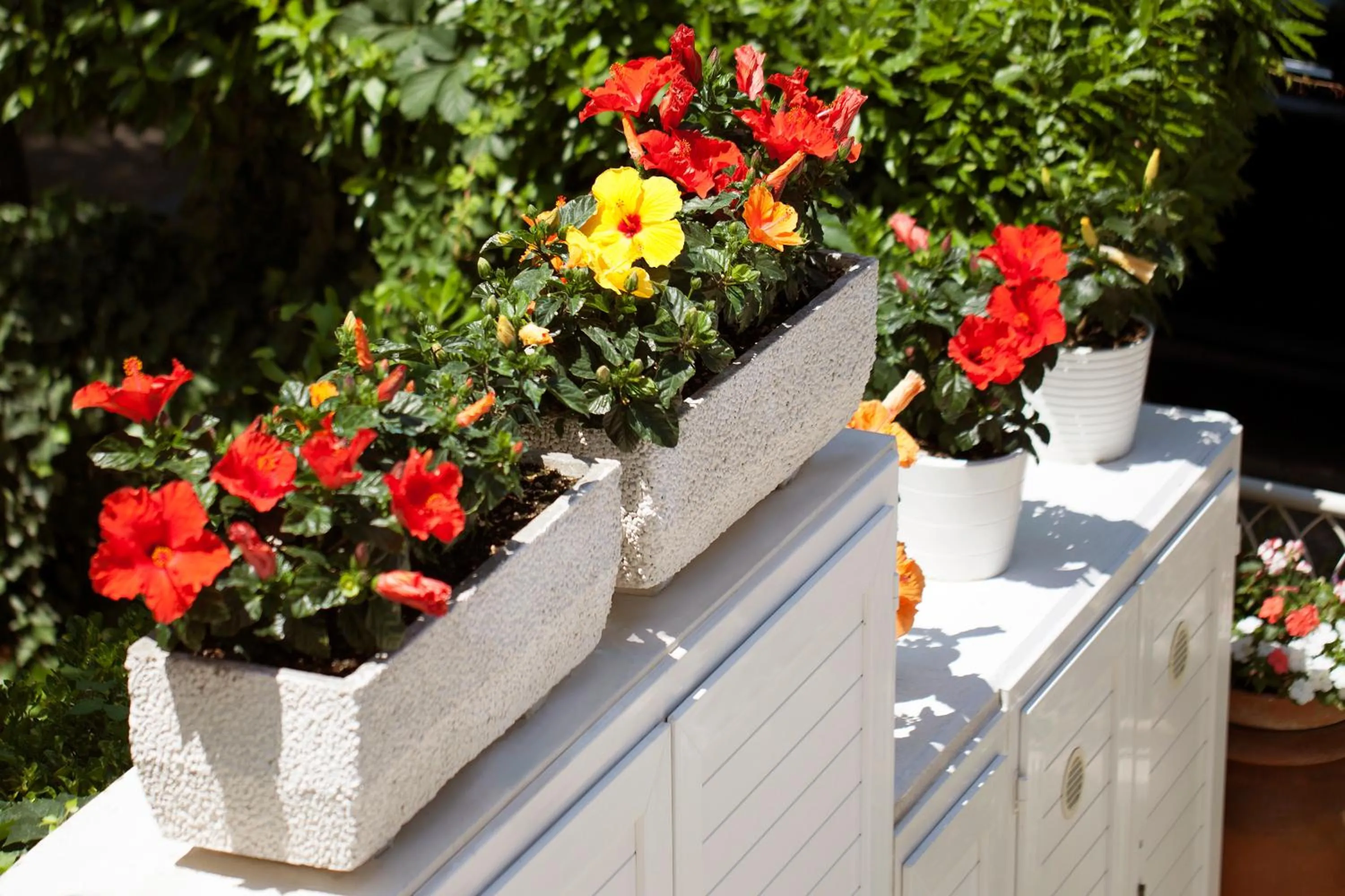 Decorative detail in Hotel Gala