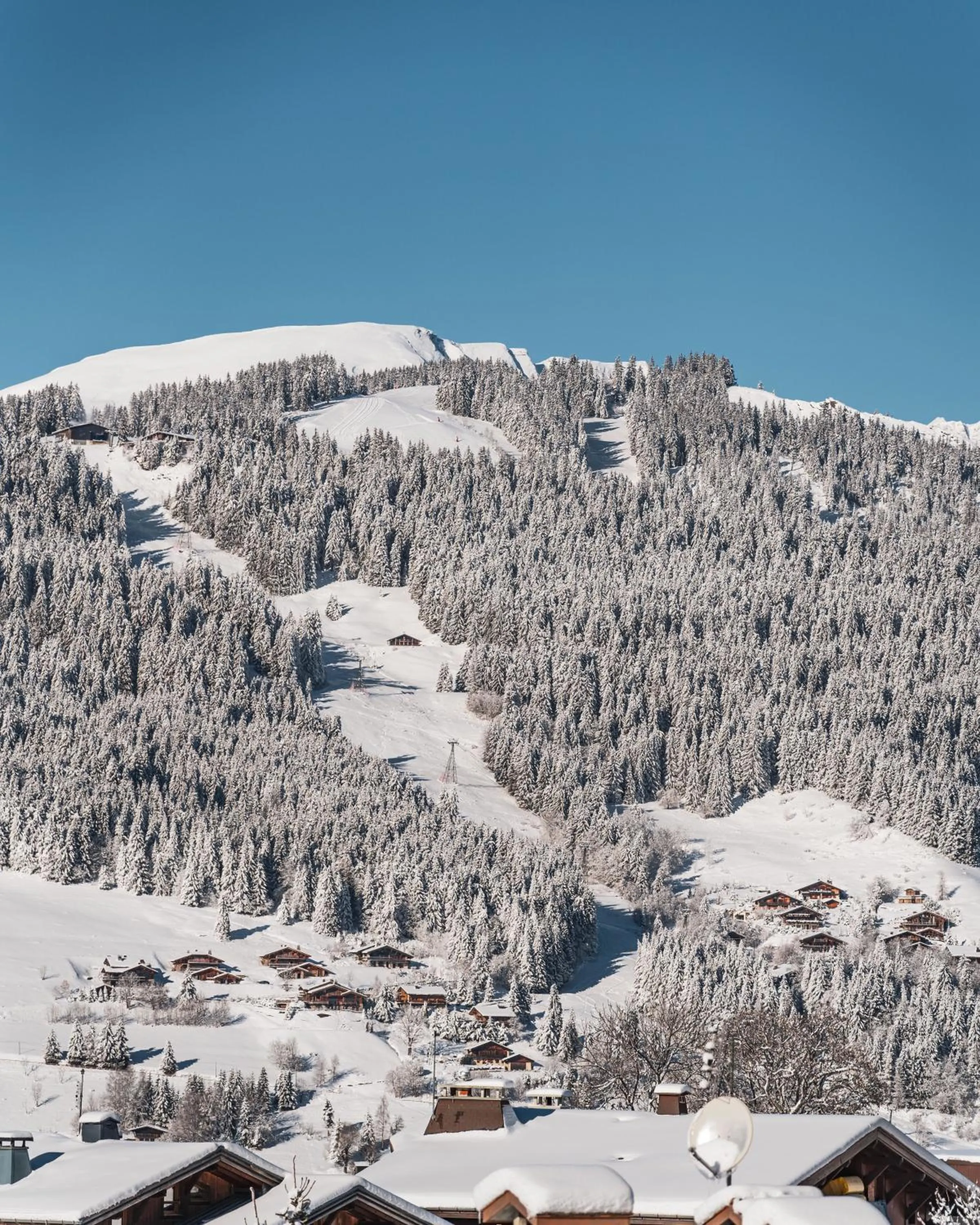 Neighbourhood in Coeur de Megève