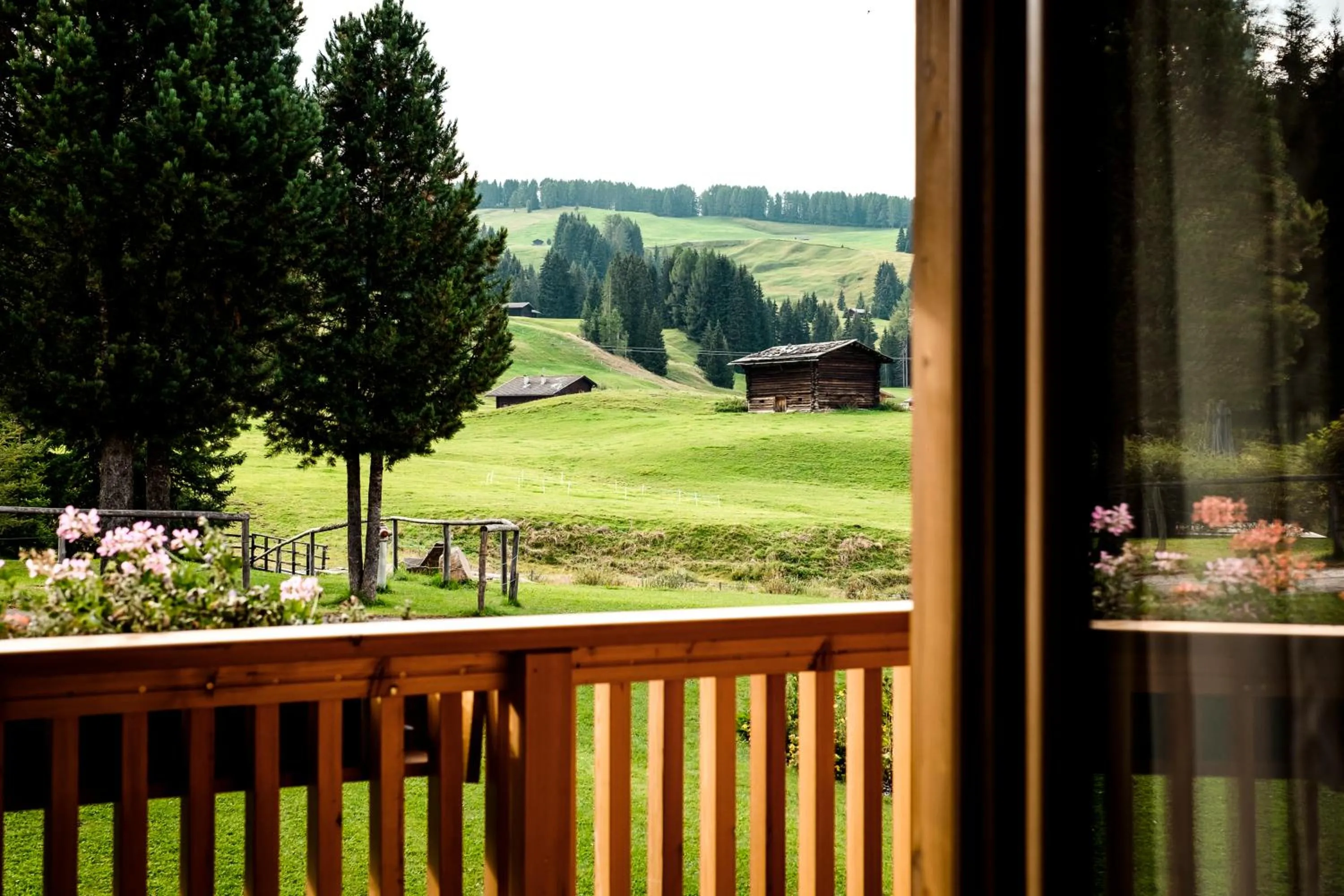 View (from property/room) in Sporthotel Floralpina