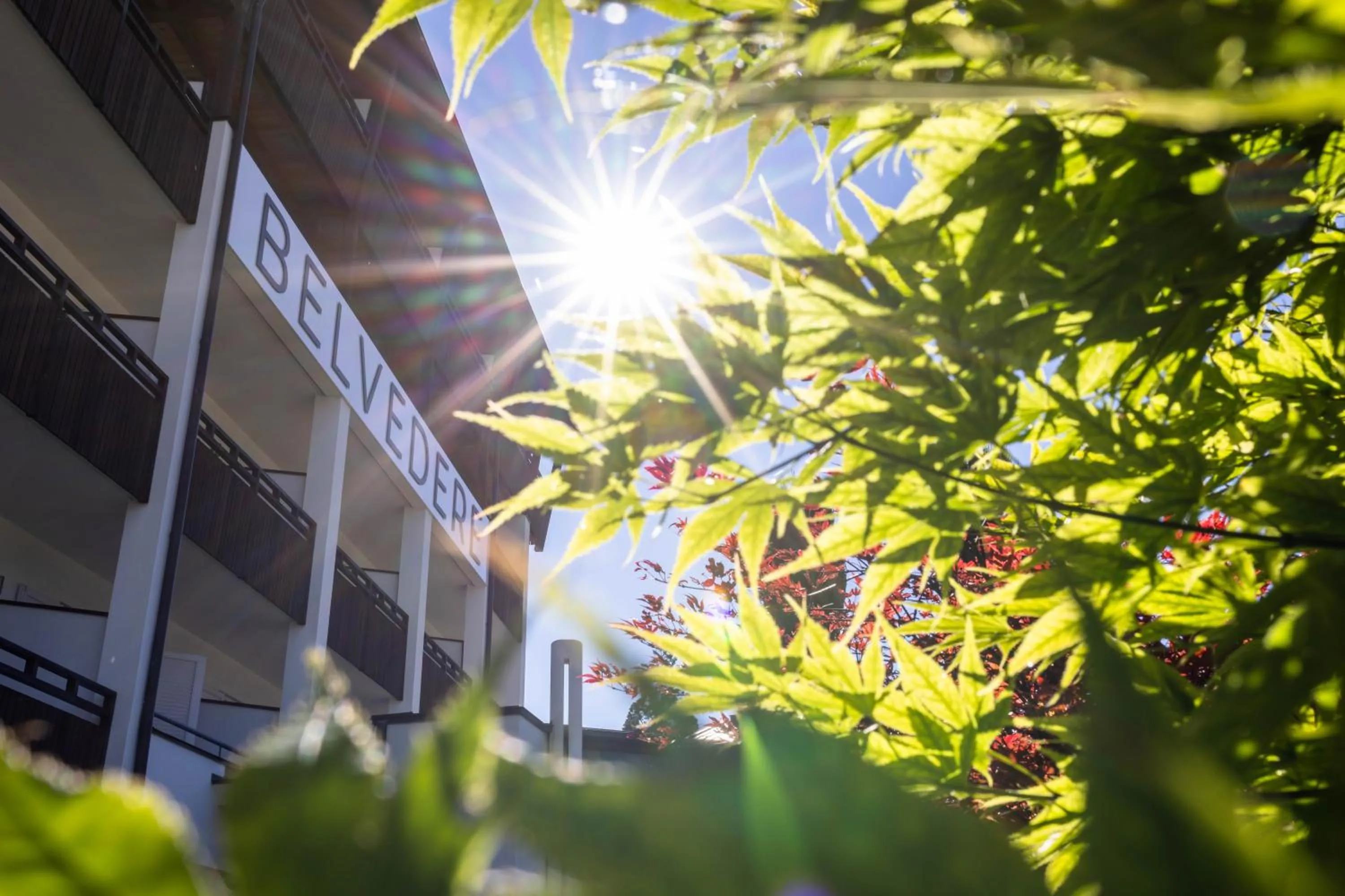 Property building in Hotel Belvedere - Adults Only - 14 plus