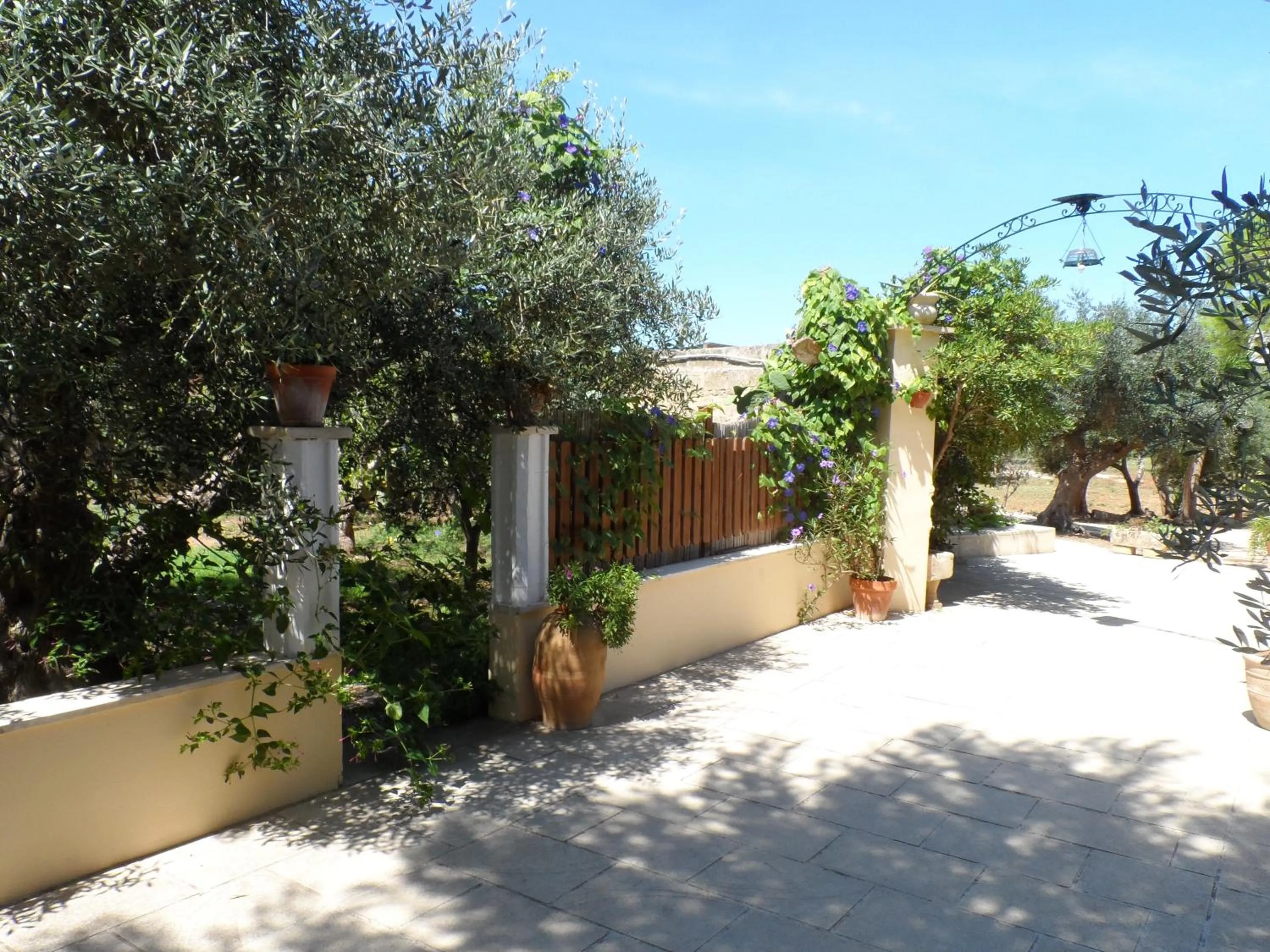 Garden view in B&B Santa Venardia Gallipoli