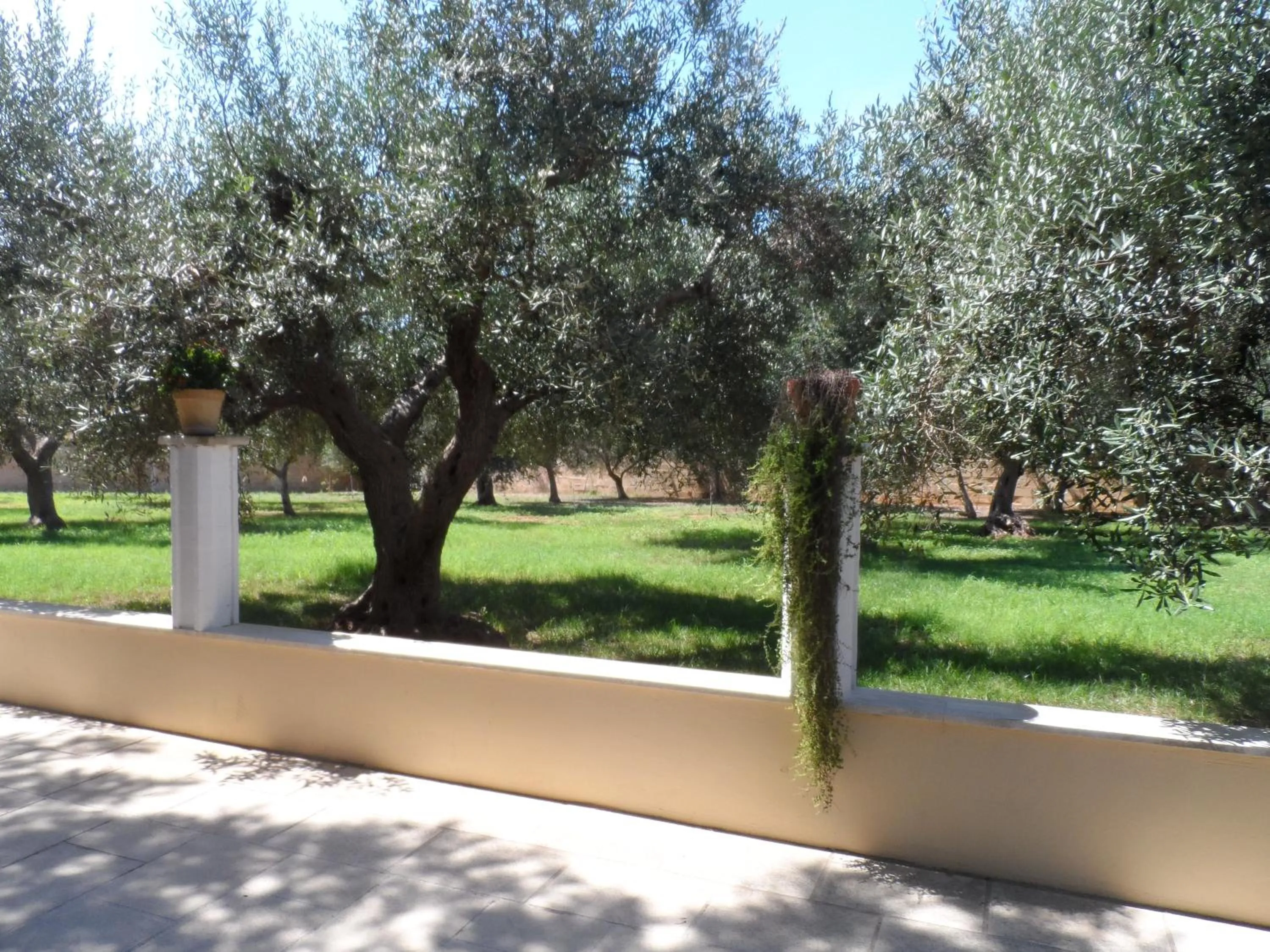 Garden in B&B Santa Venardia Gallipoli