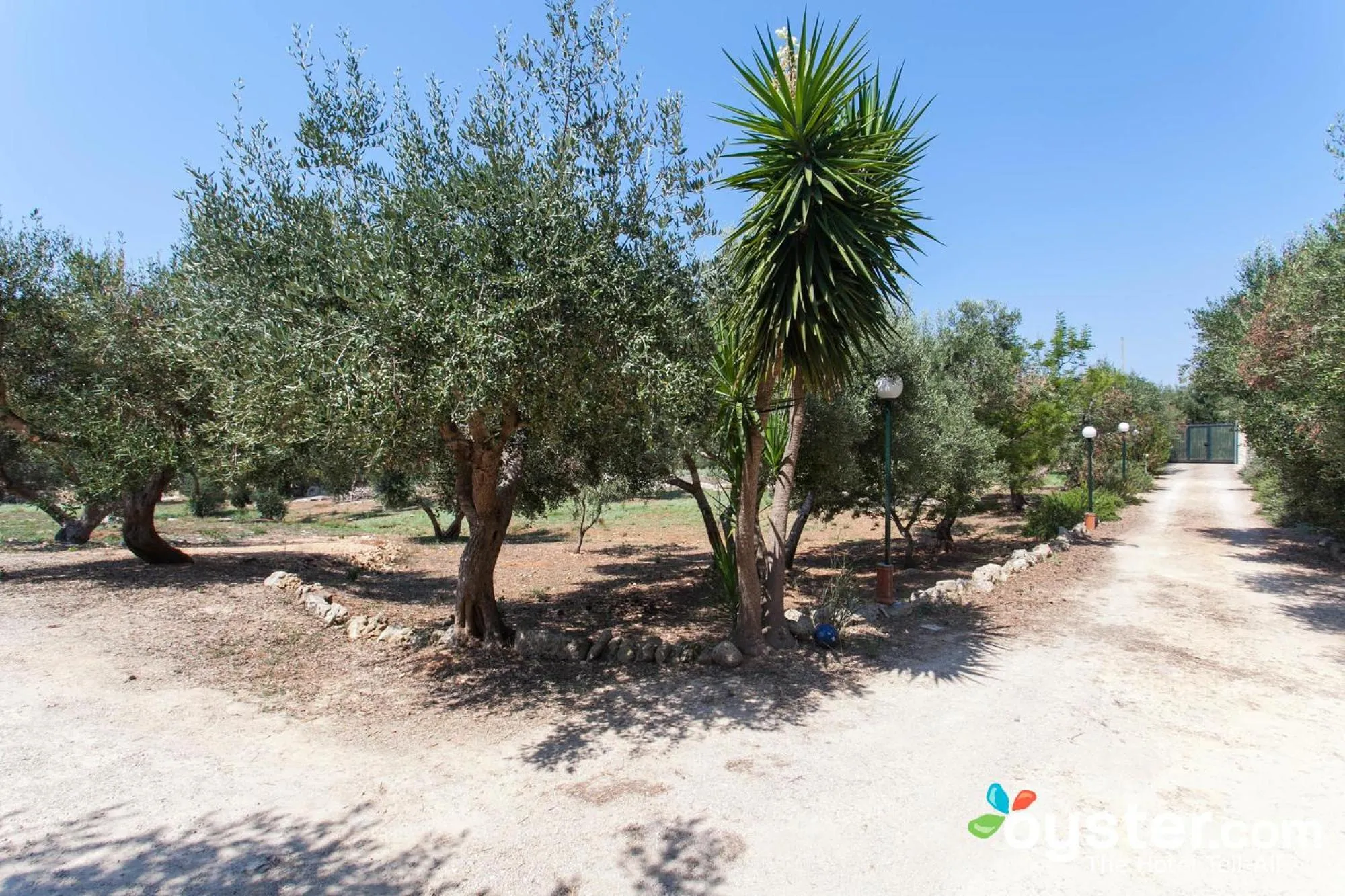 Garden view in B&B Santa Venardia Gallipoli