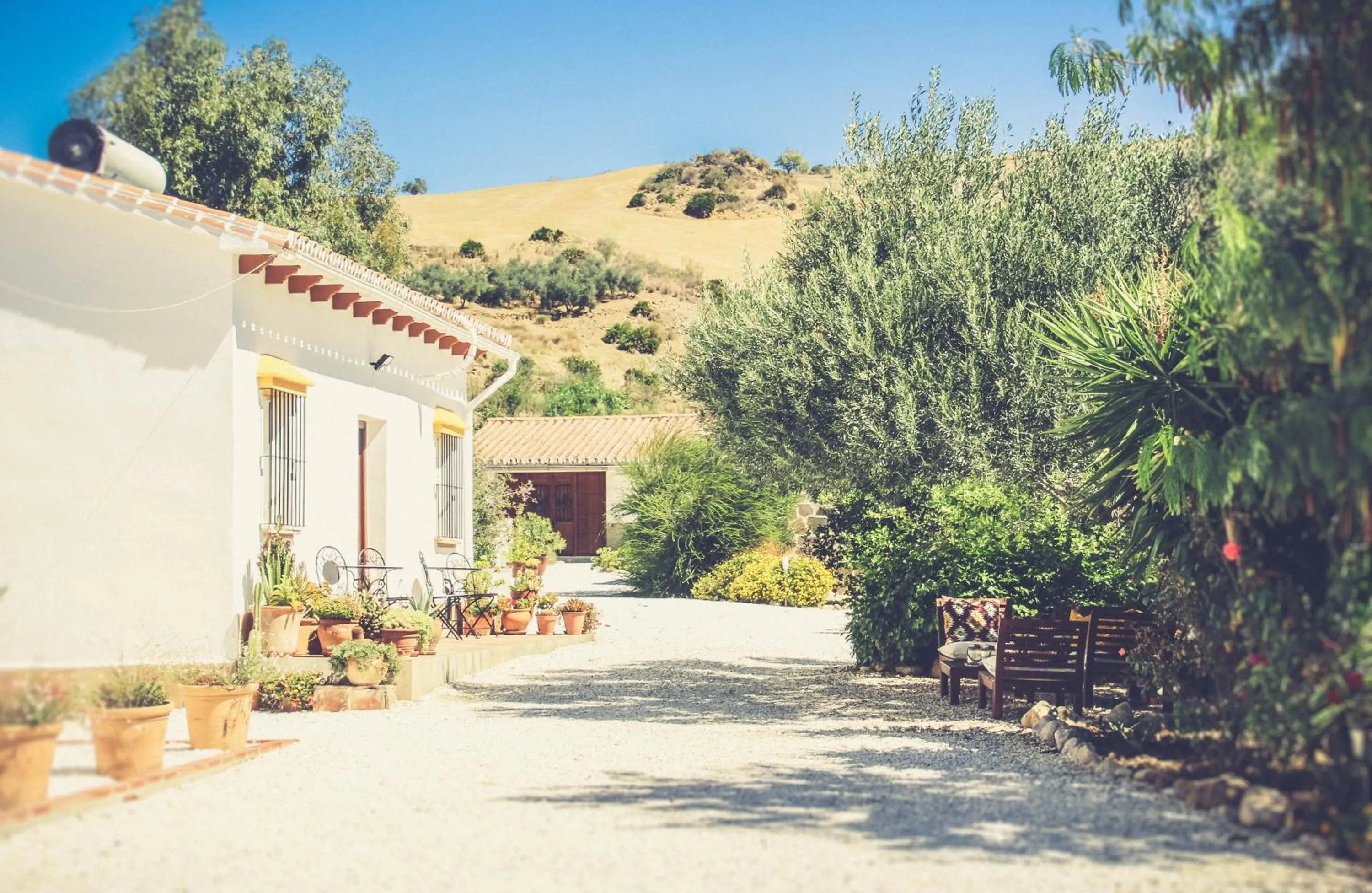 Property building in Finca El Limonar