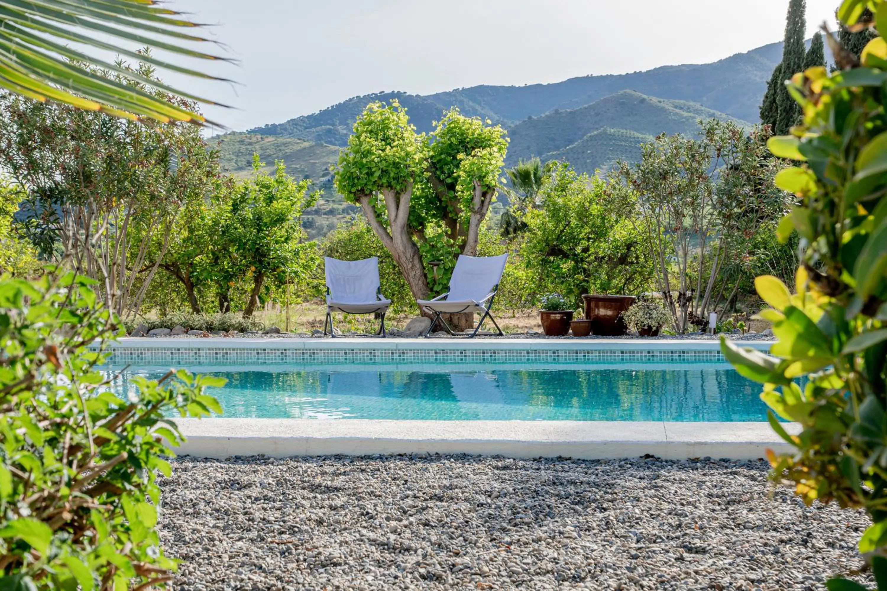 Swimming pool in Finca El Limonar