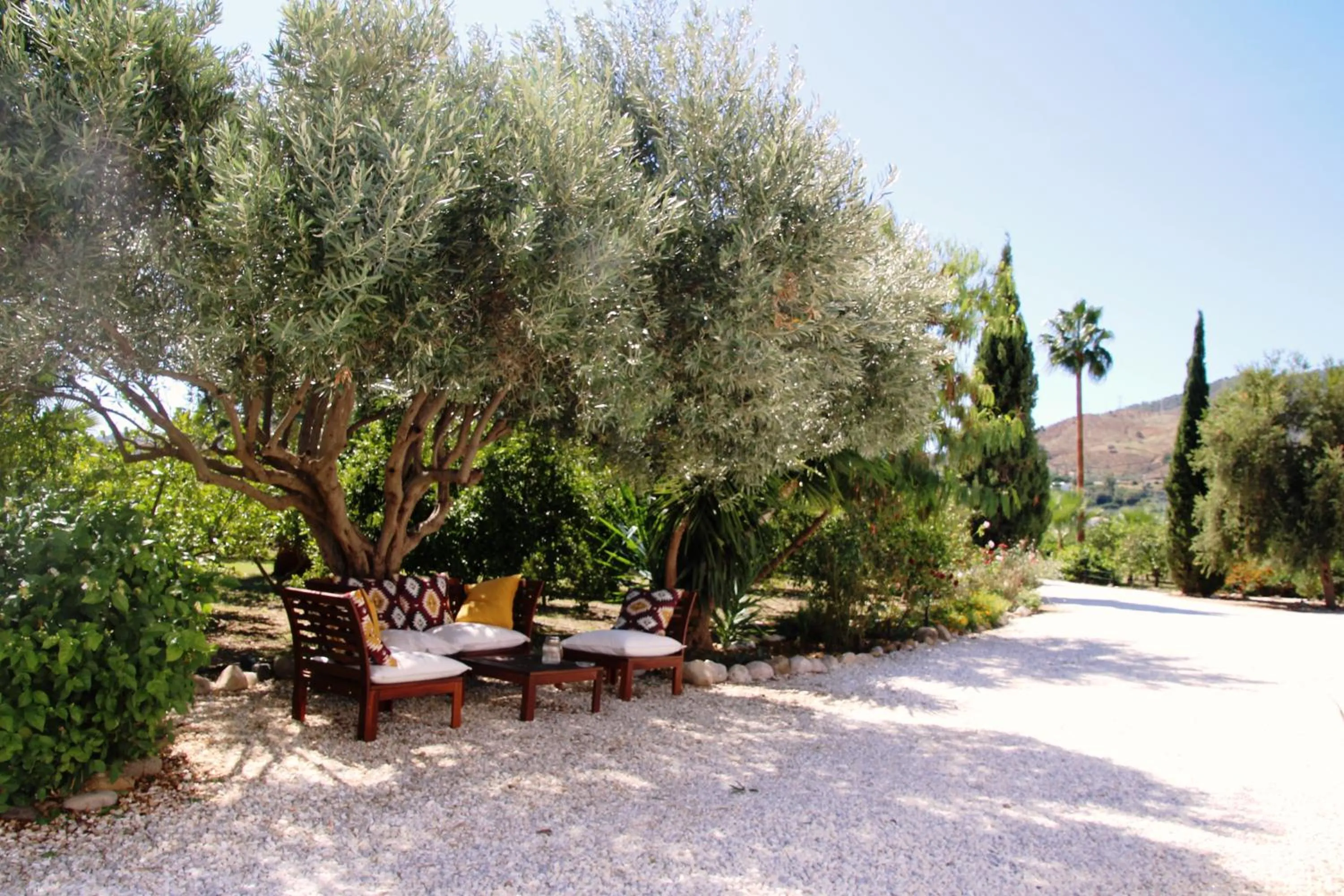 Garden view in Finca El Limonar