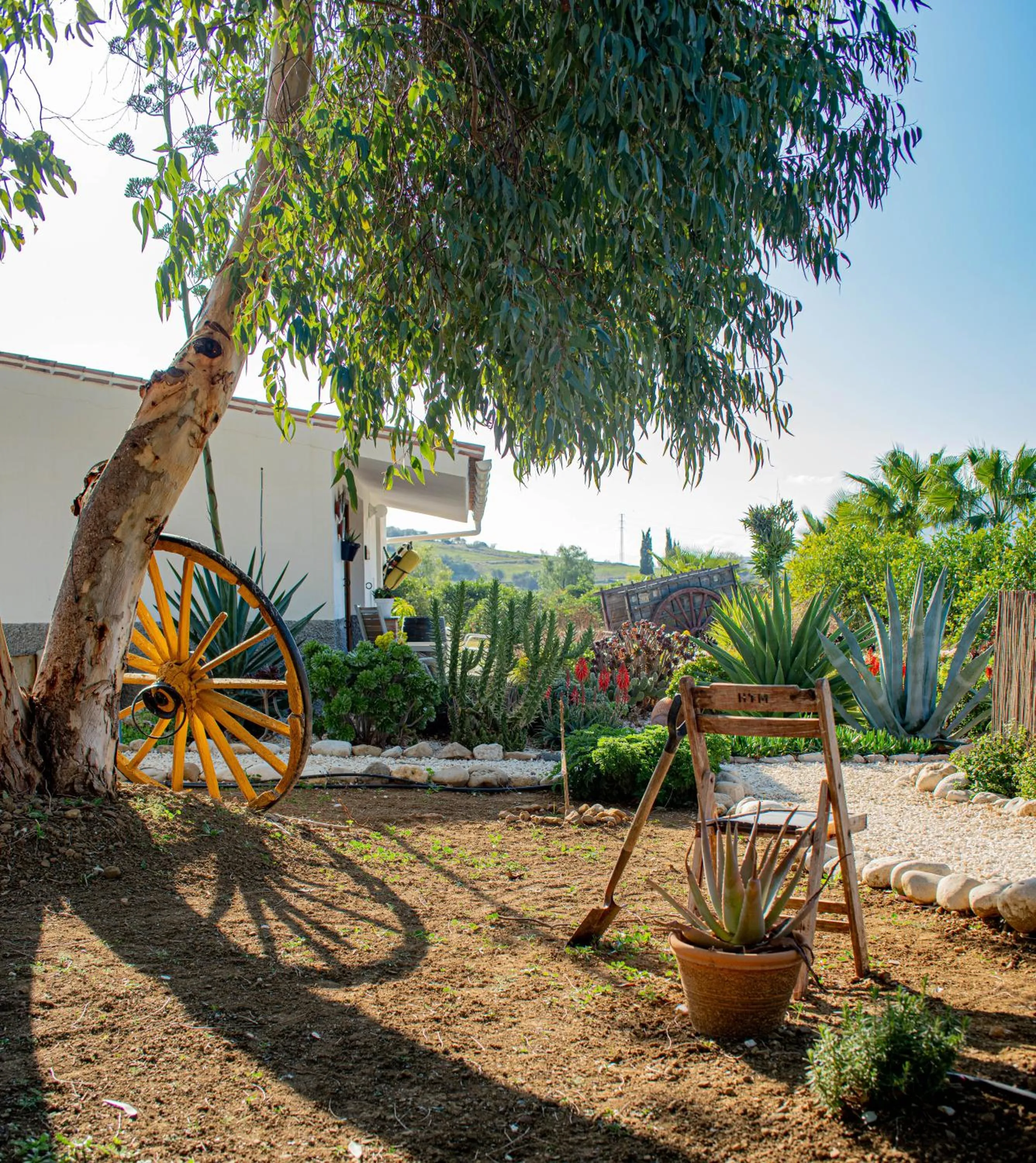 Garden in Finca El Limonar