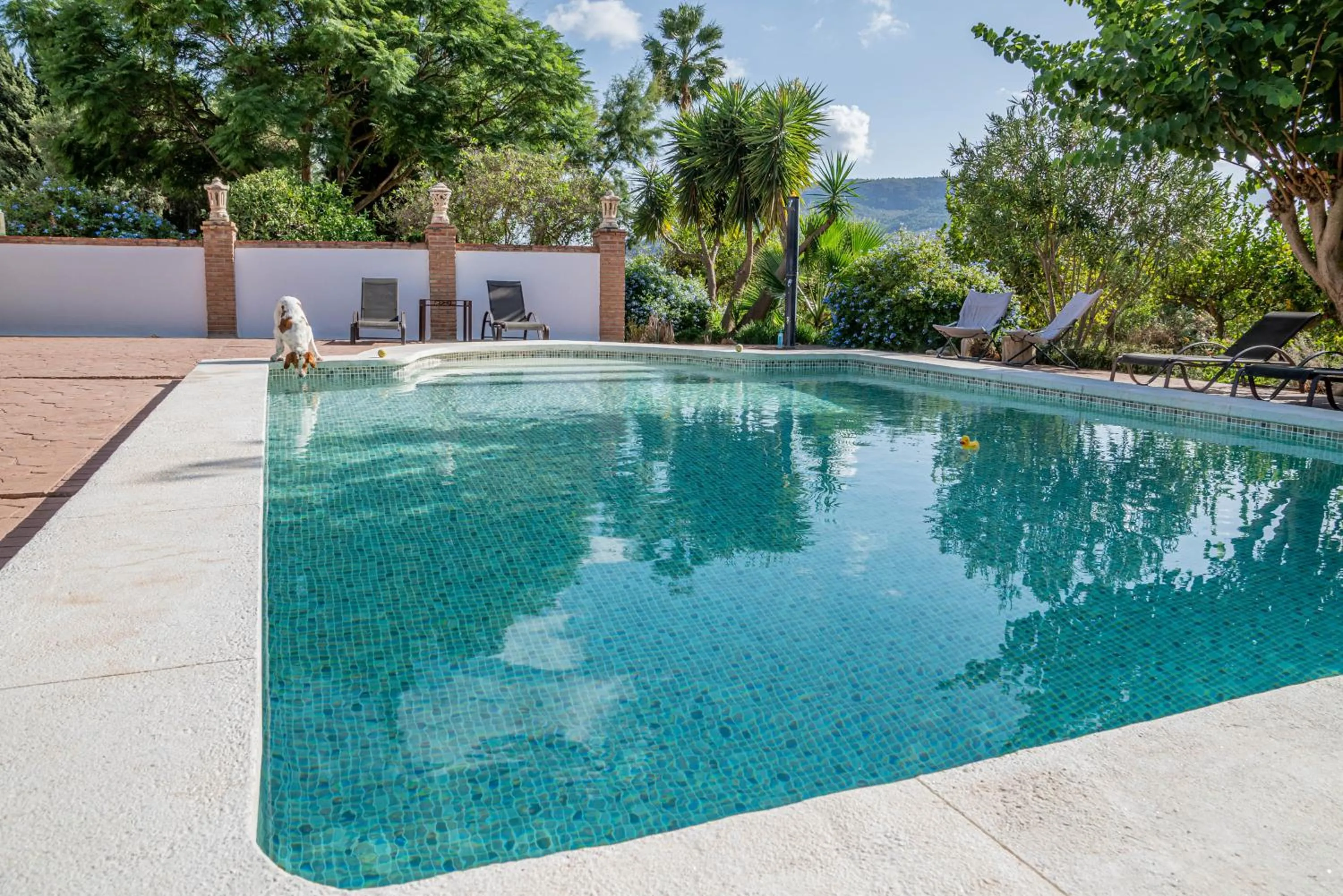 Pool view in Finca El Limonar