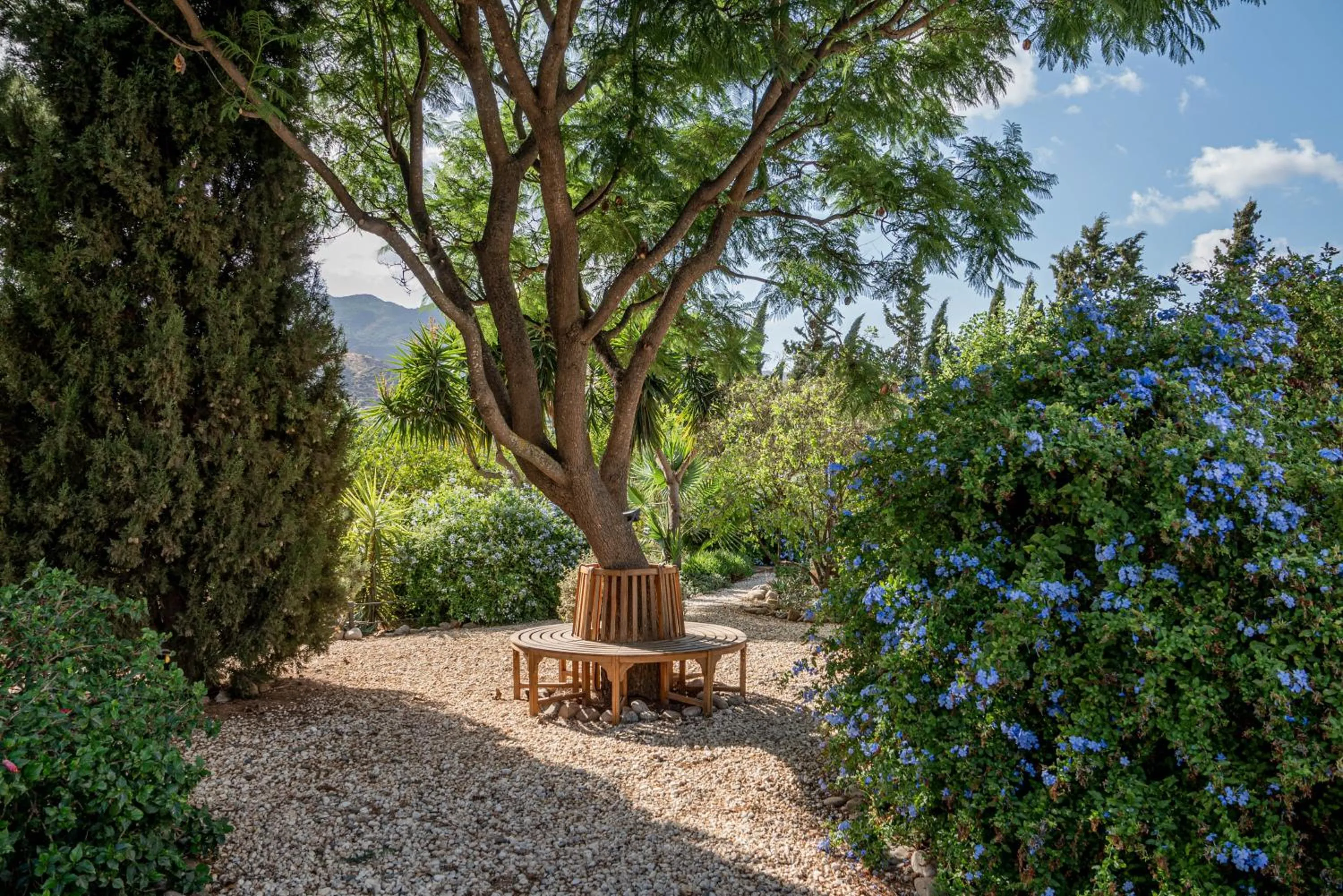 Garden in Finca El Limonar