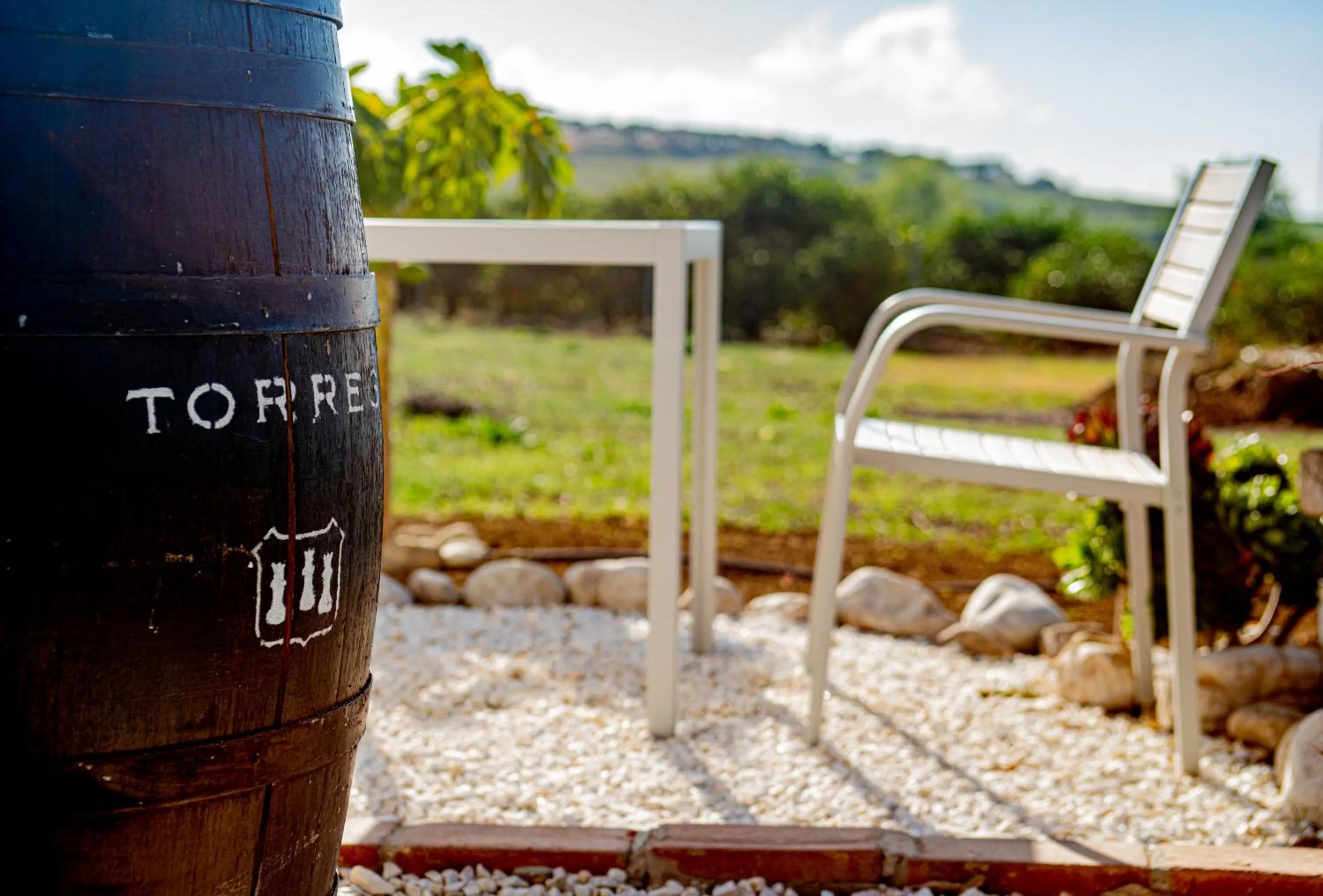 Natural landscape in Finca El Limonar