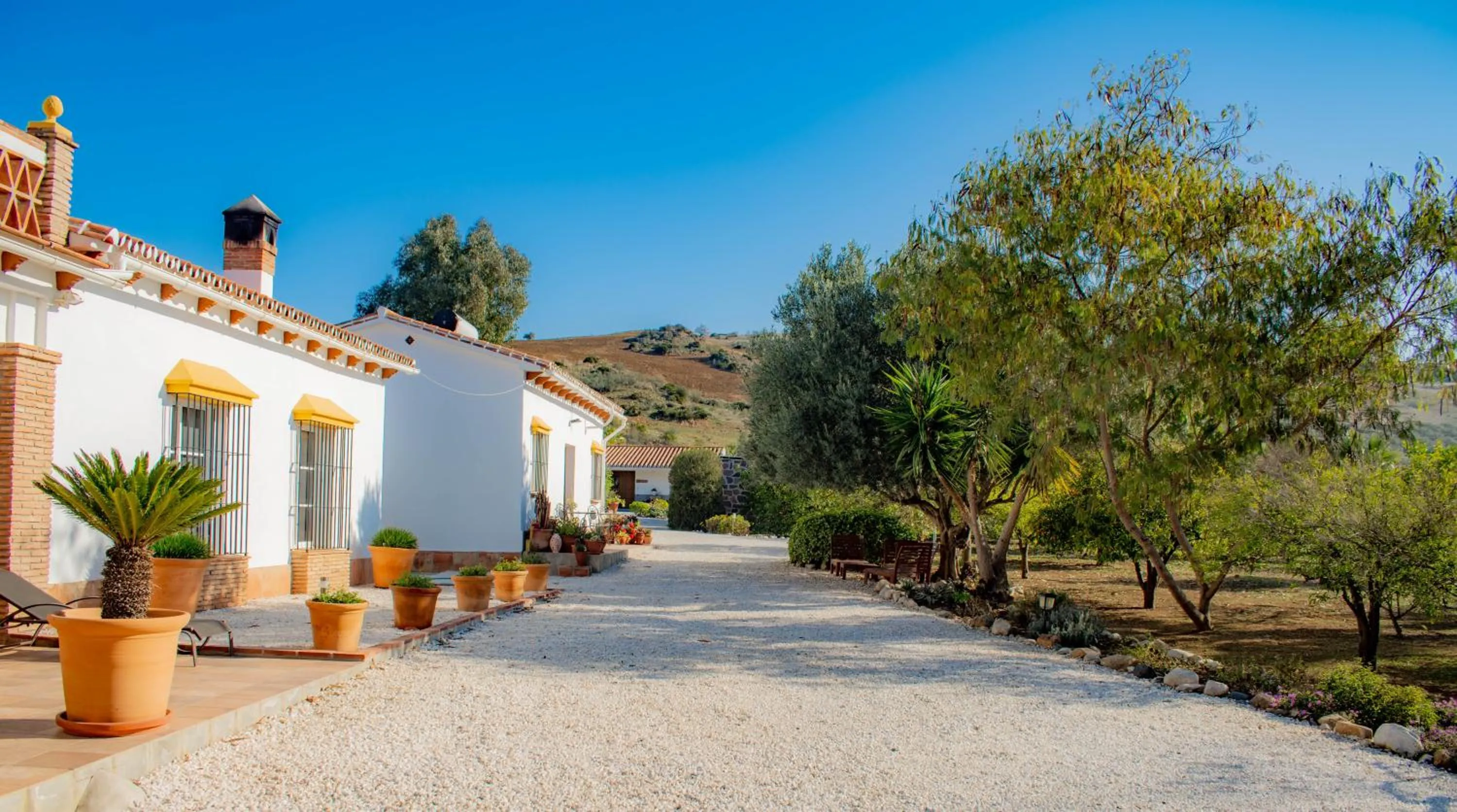 Property building in Finca El Limonar