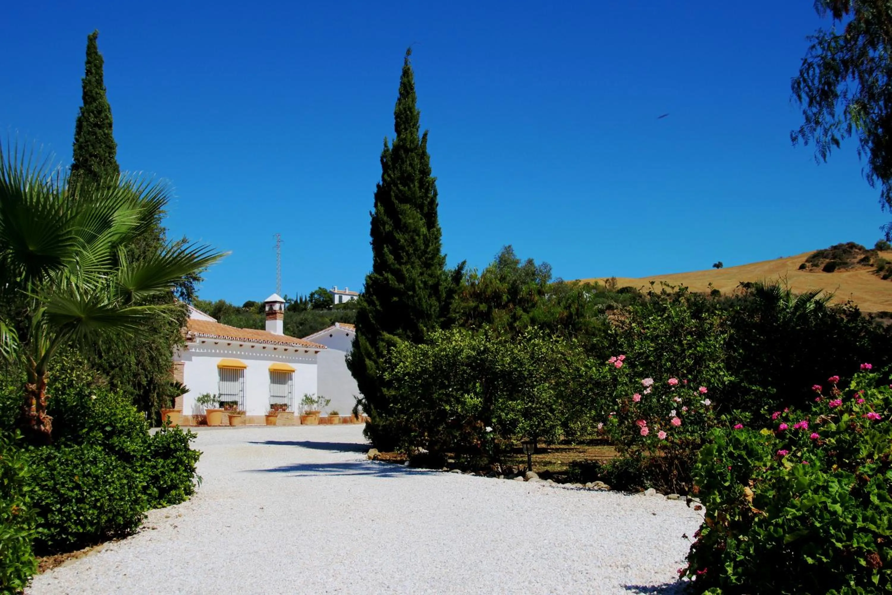 Natural landscape in Finca El Limonar