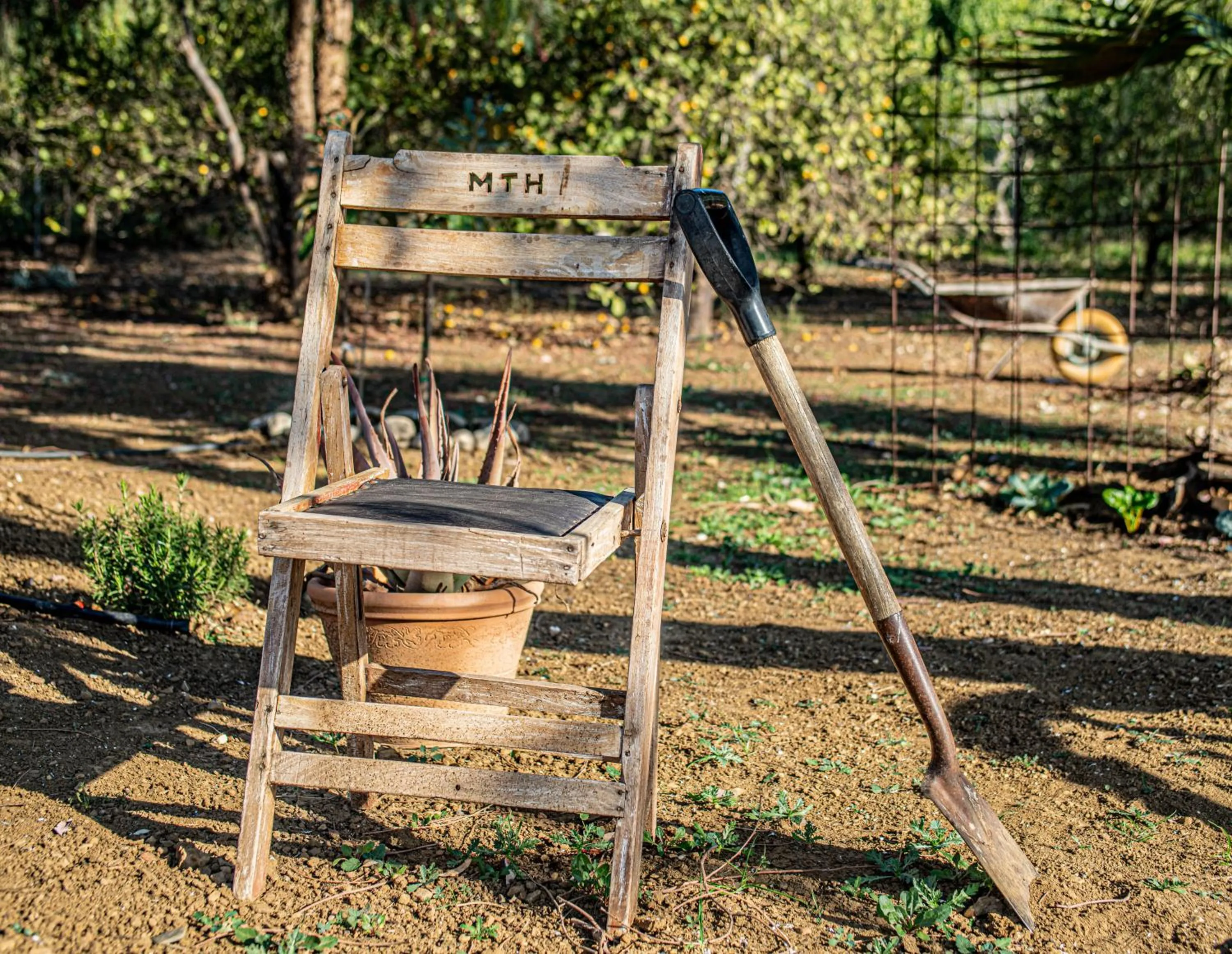 Garden in Finca El Limonar