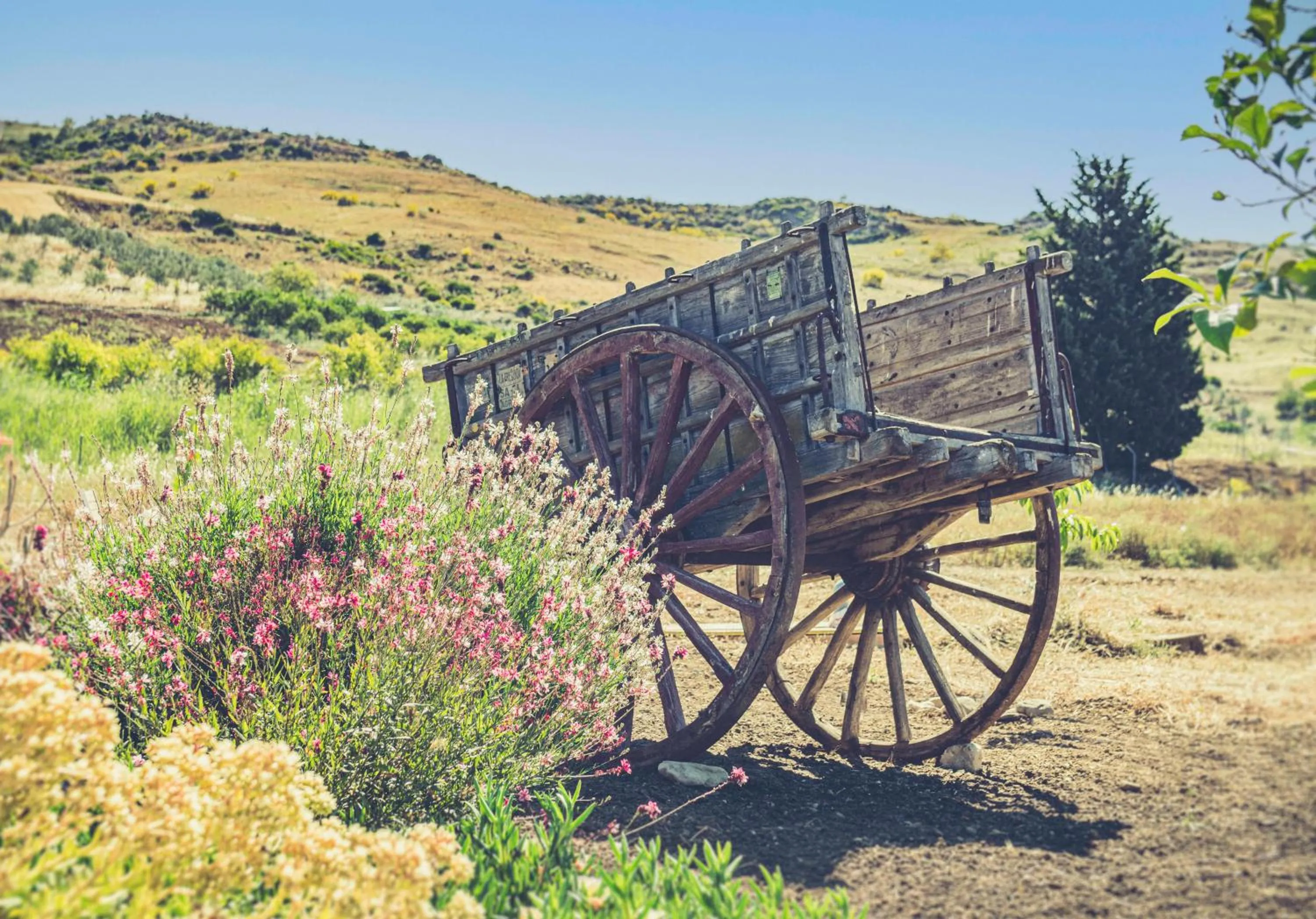 Natural landscape in Finca El Limonar