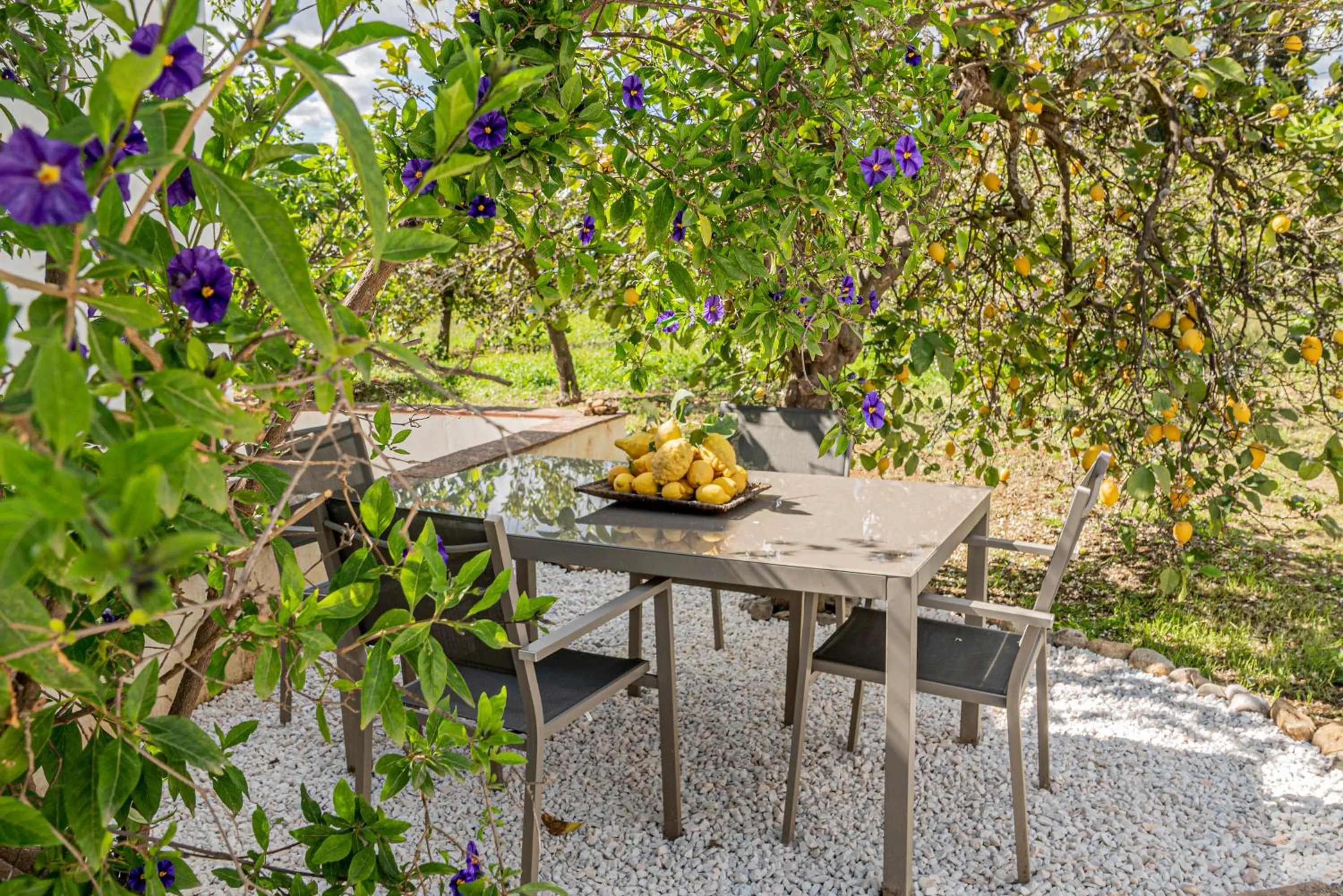 Dining area in Finca El Limonar