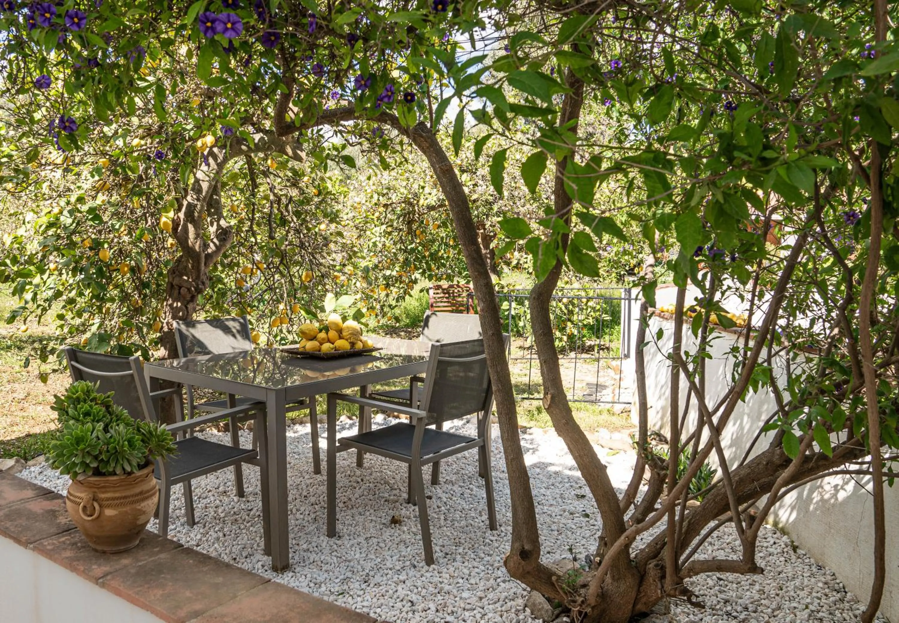 Seating area in Finca El Limonar