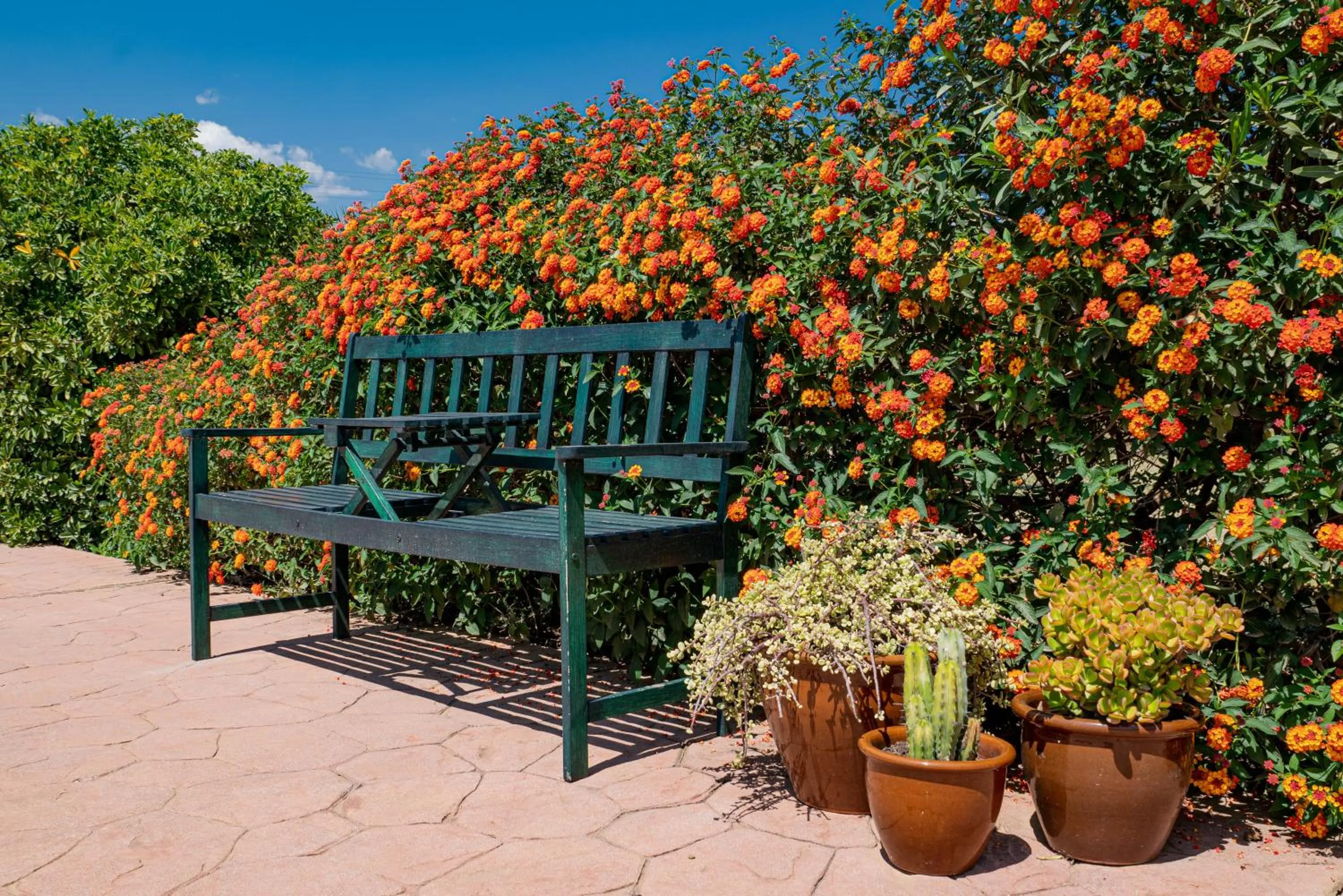 Garden in Finca El Limonar