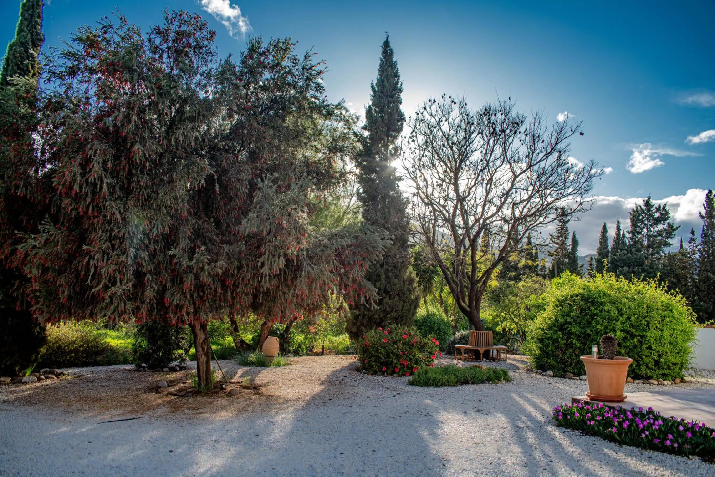 Garden in Finca El Limonar