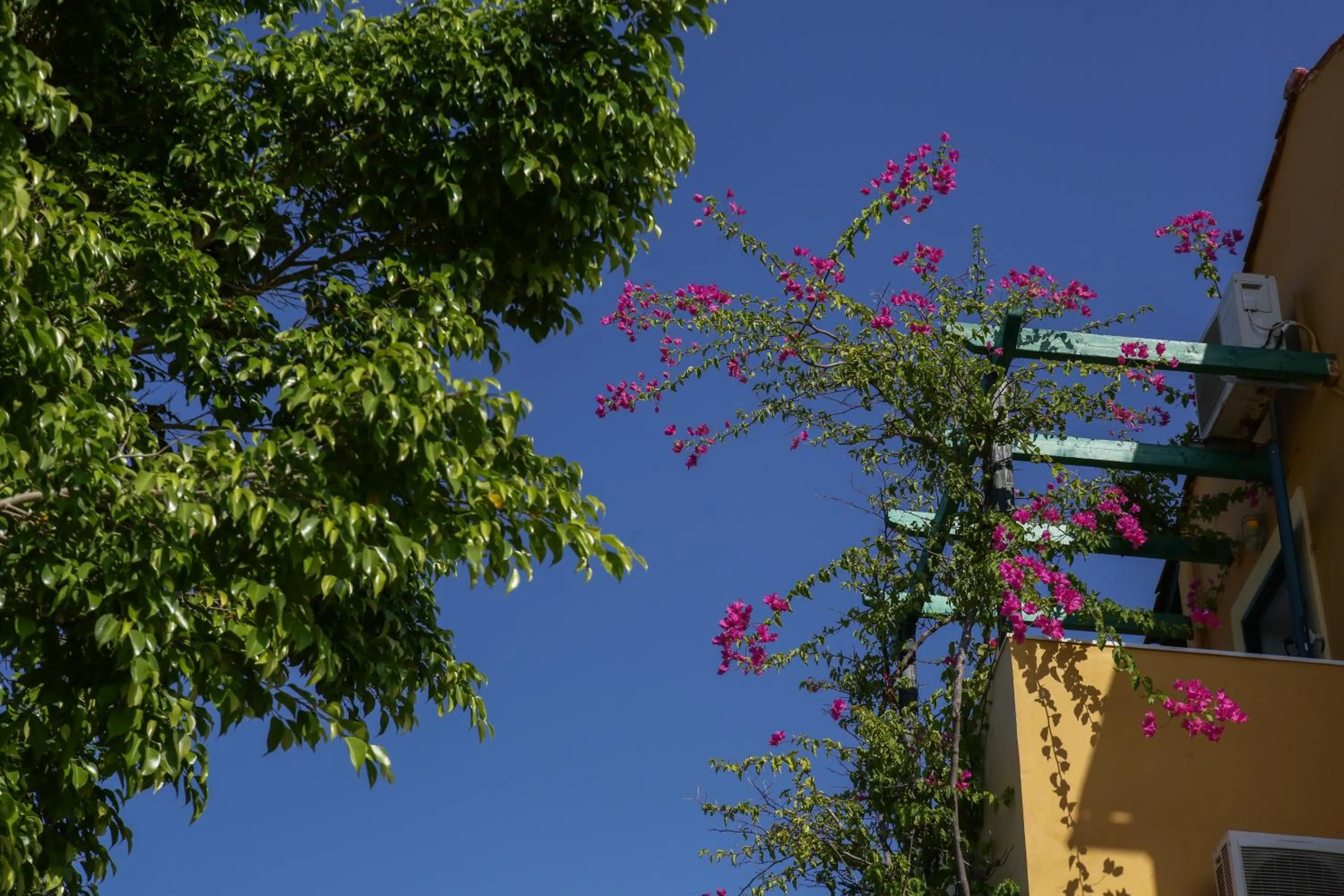 Balcony/Terrace in Sandy Beach Villas and Apartments