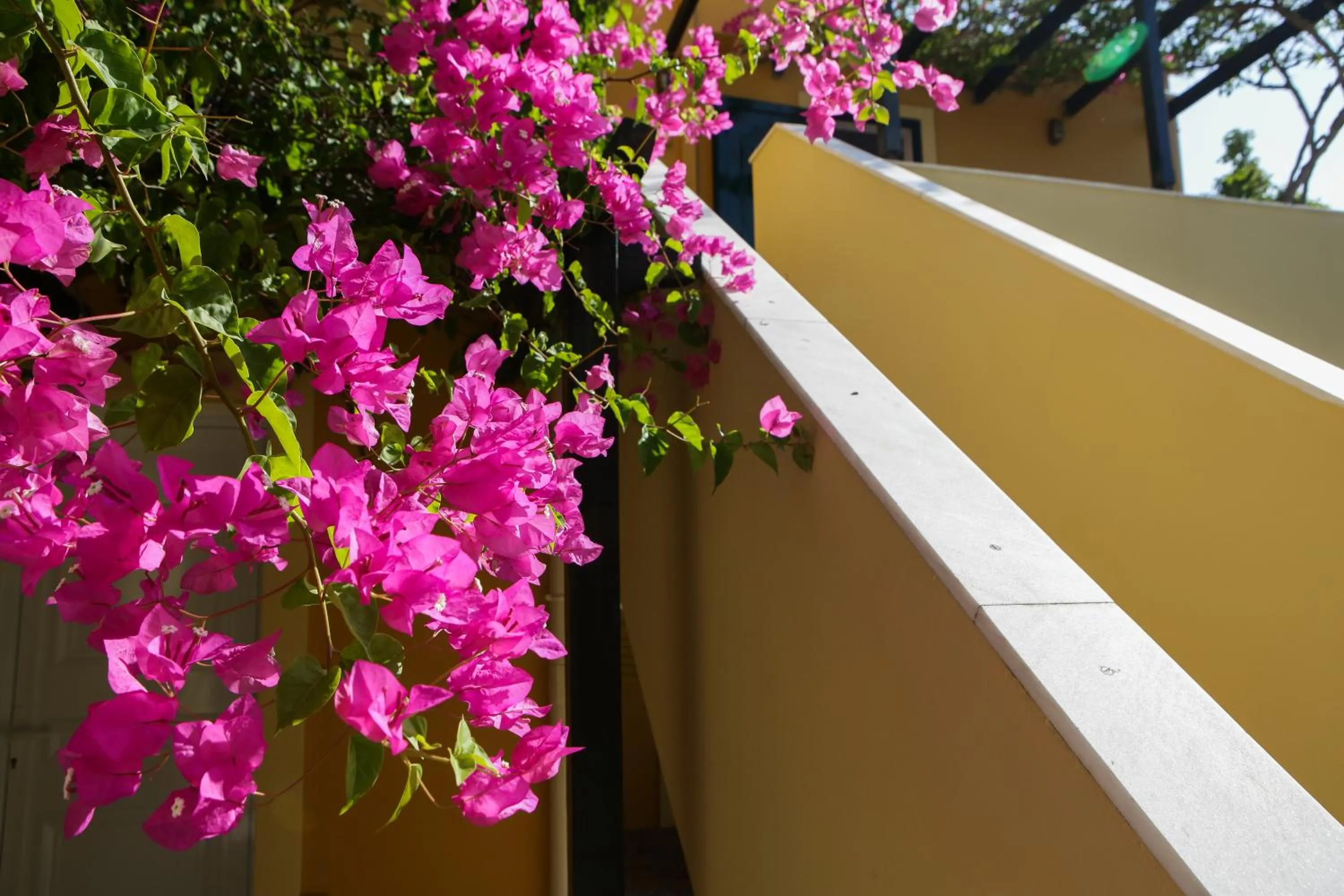 Facade/entrance in Sandy Beach Villas and Apartments