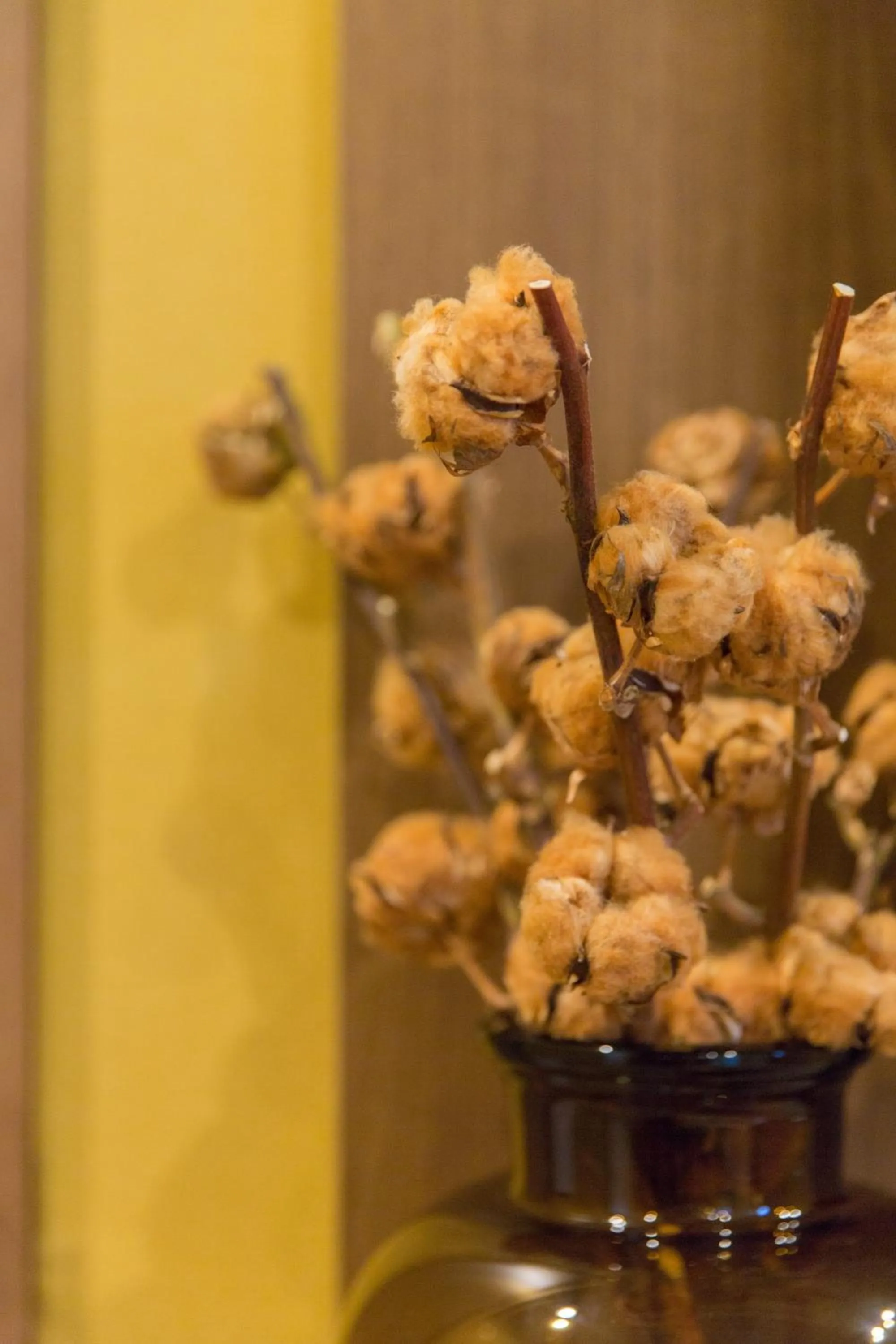 S-Dotonbori Hotel Namba - Self Check-In Only