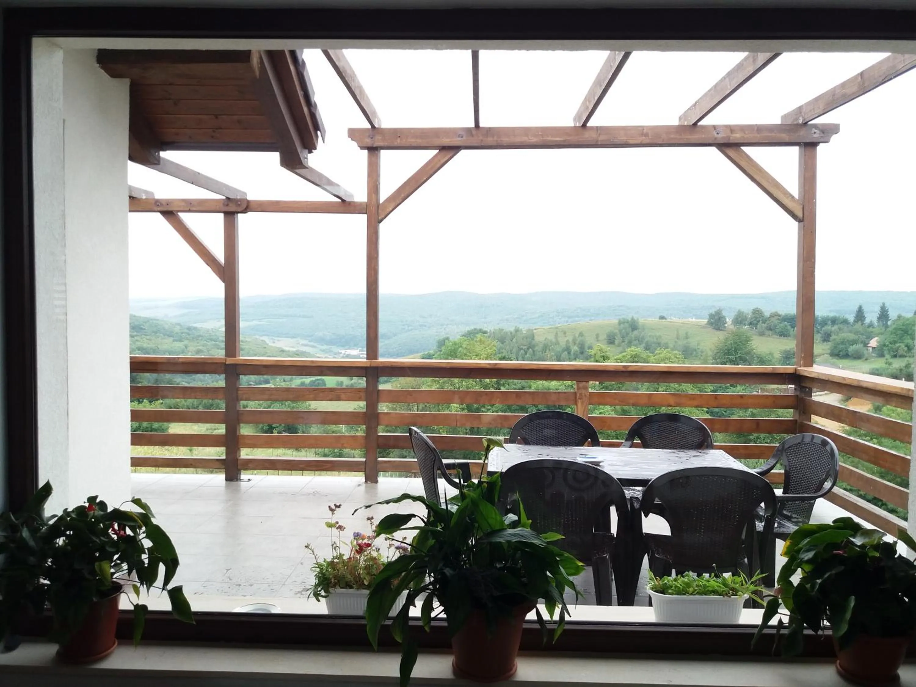 Garden in Agropensiunea Maris