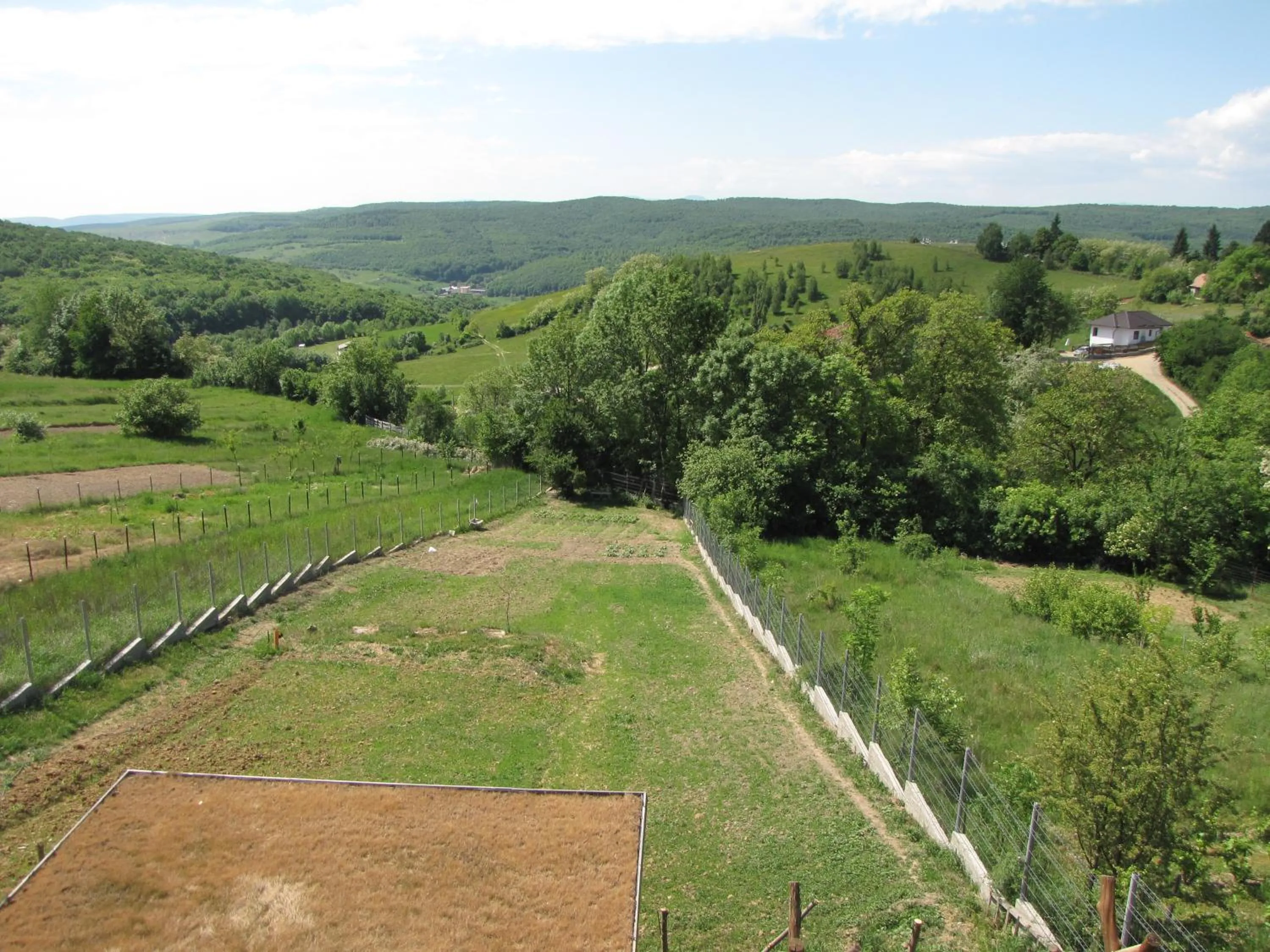Garden in Agropensiunea Maris