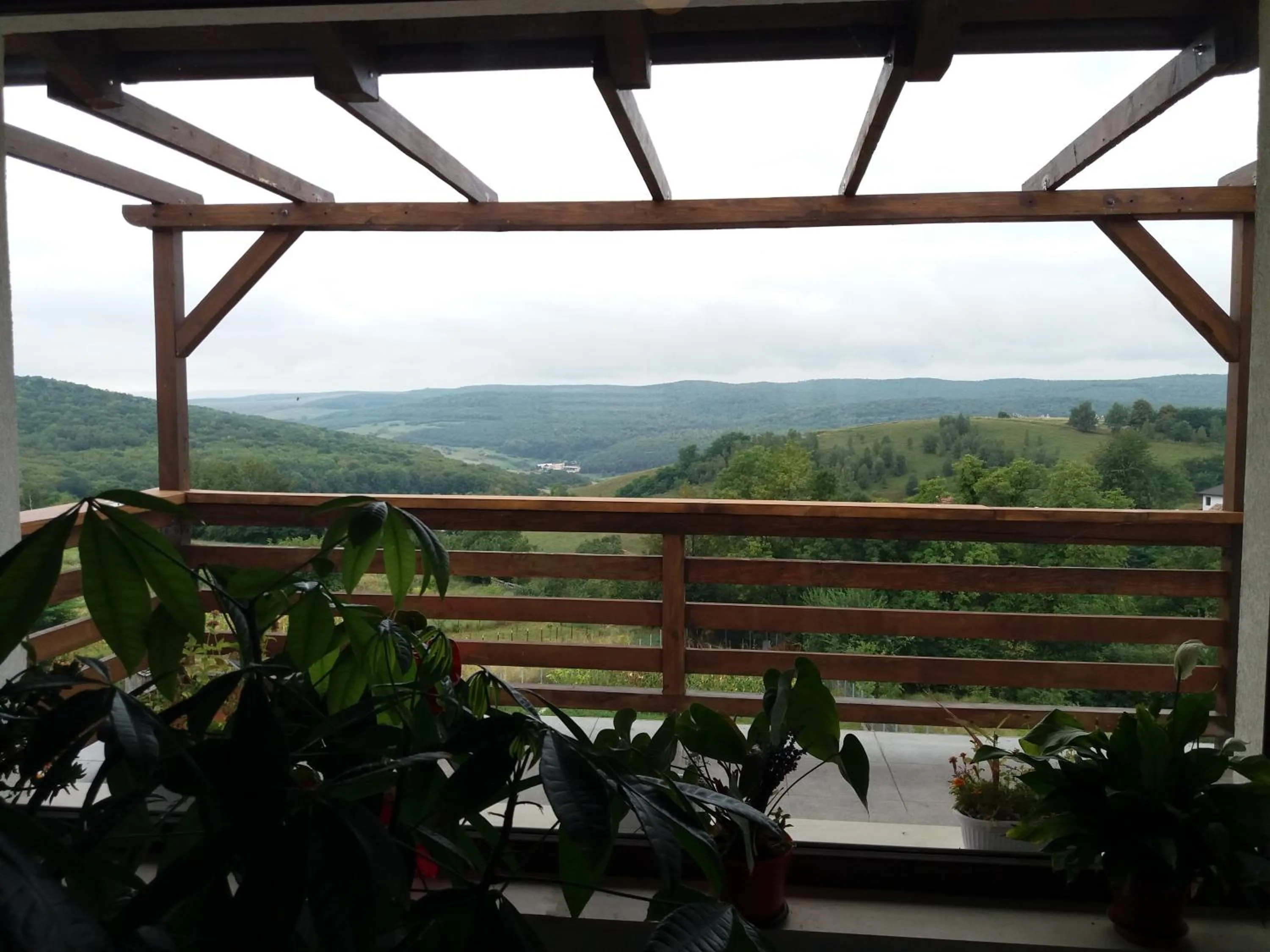 Natural landscape in Agropensiunea Maris