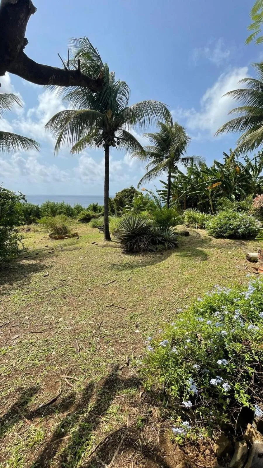 Garden view in Pousada Canto do Boldró