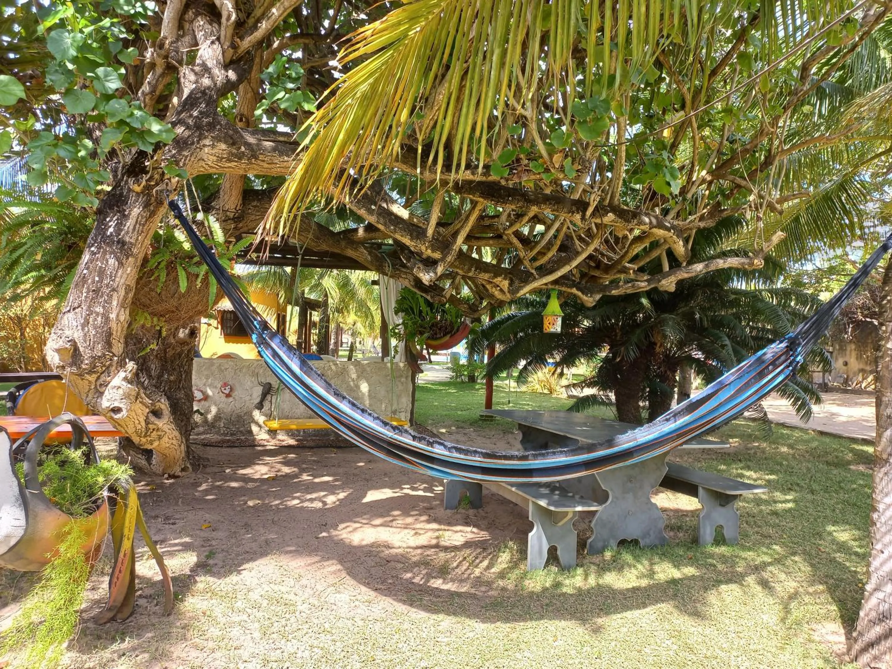 Garden in Hotel Enseada Maracajaú