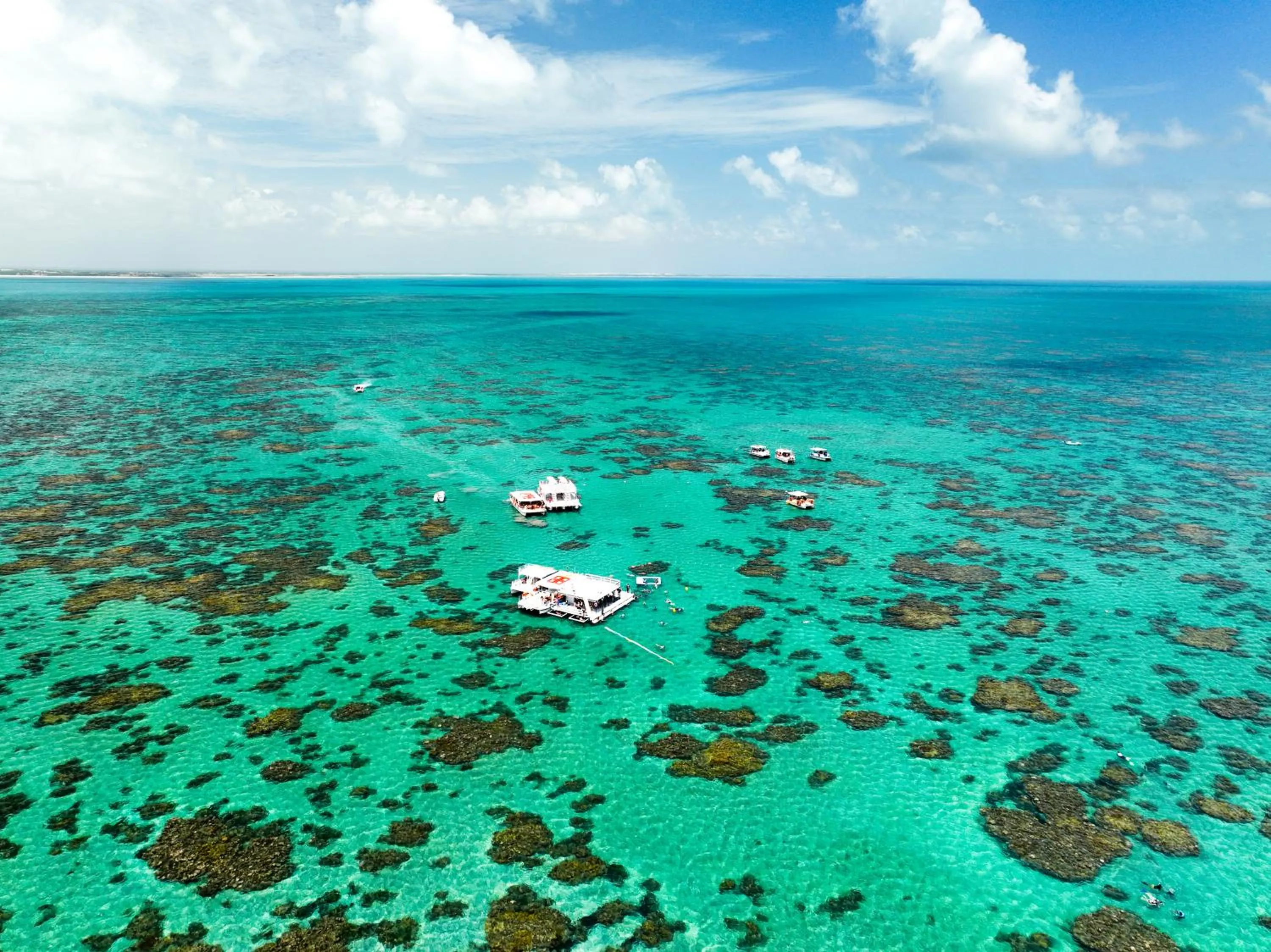 Natural landscape in Hotel Enseada Maracajaú