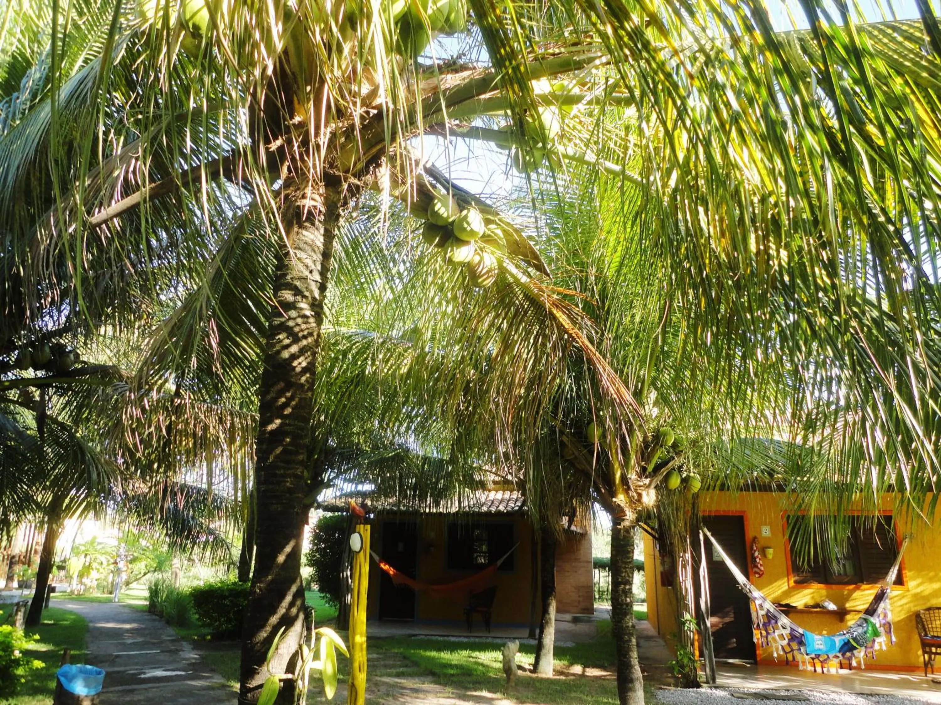 Garden in Hotel Enseada Maracajaú