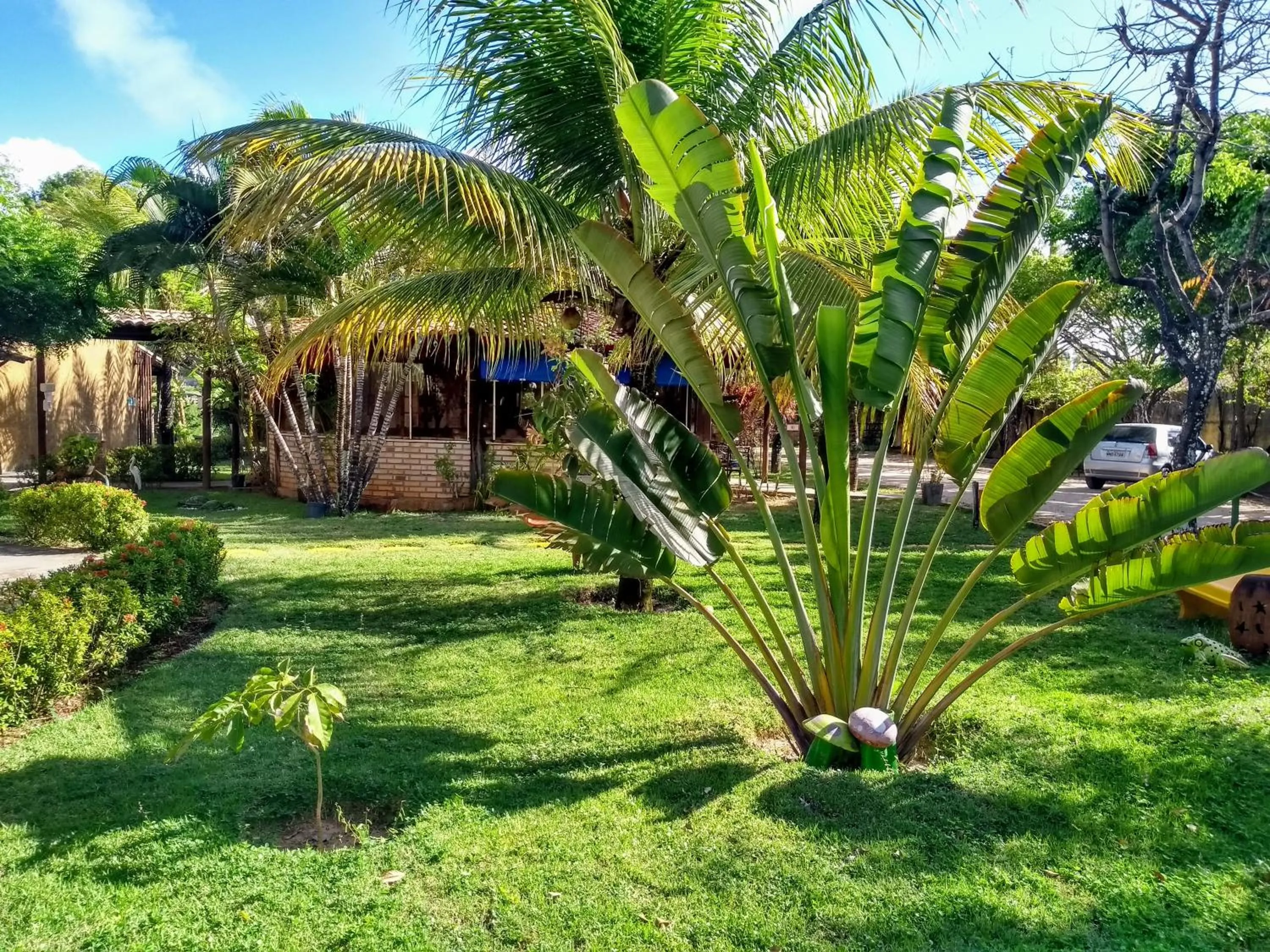 Garden in Hotel Enseada Maracajaú